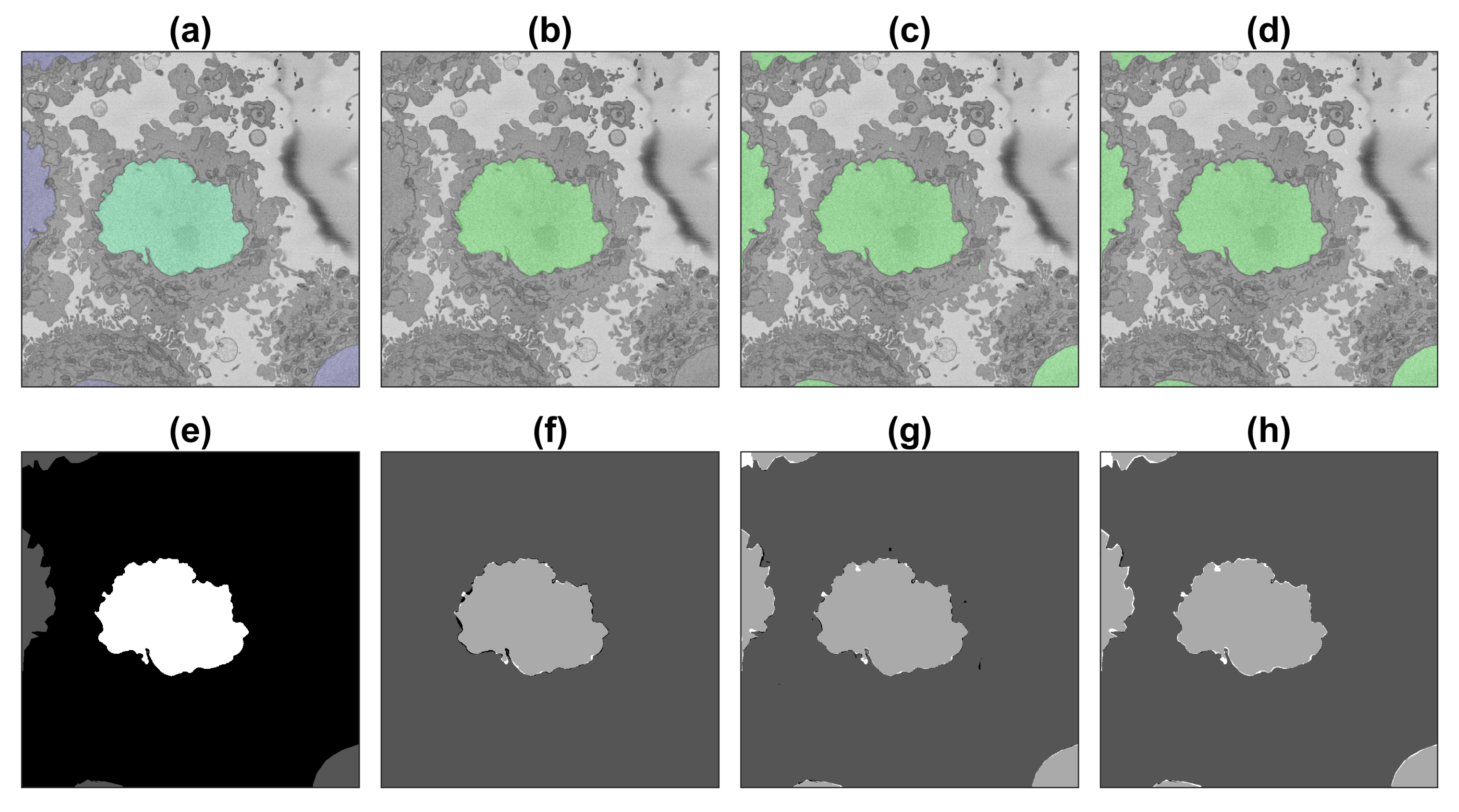 Jimaging 09 00059 g009