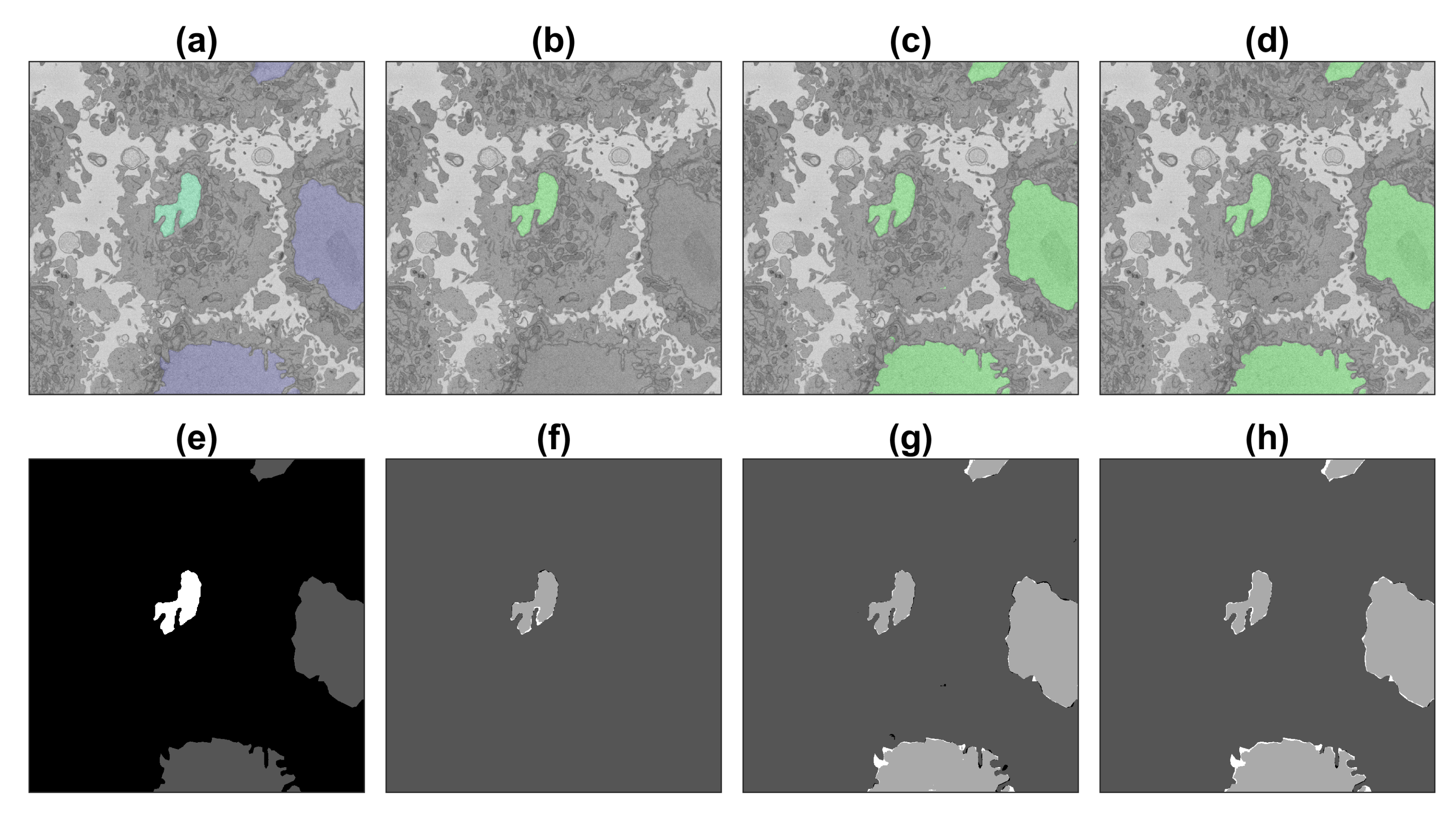 Jimaging 09 00059 g010