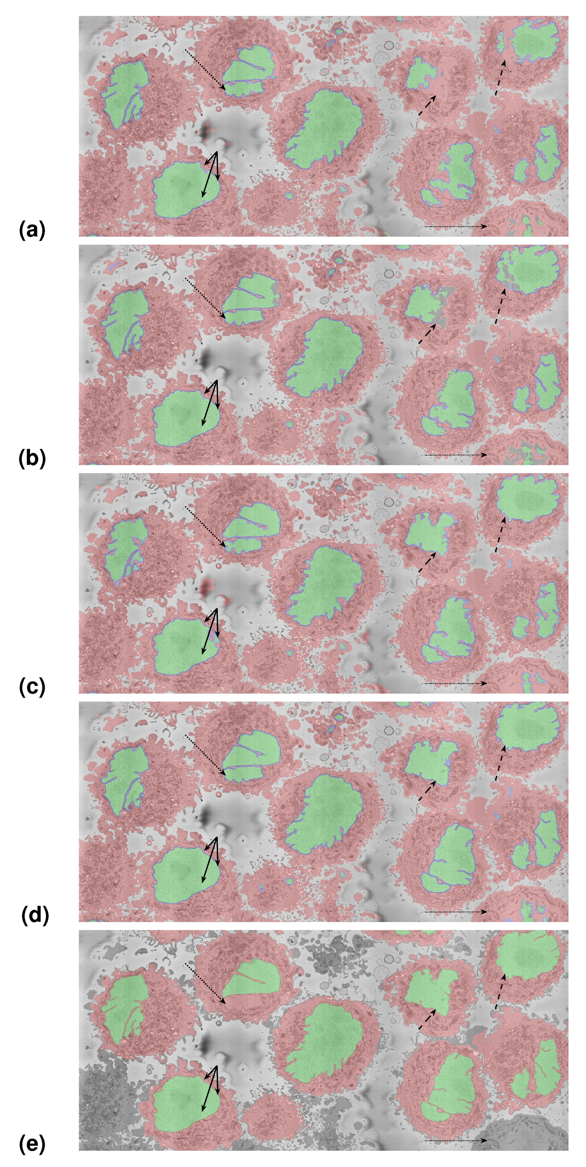 Jimaging 09 00059 g012