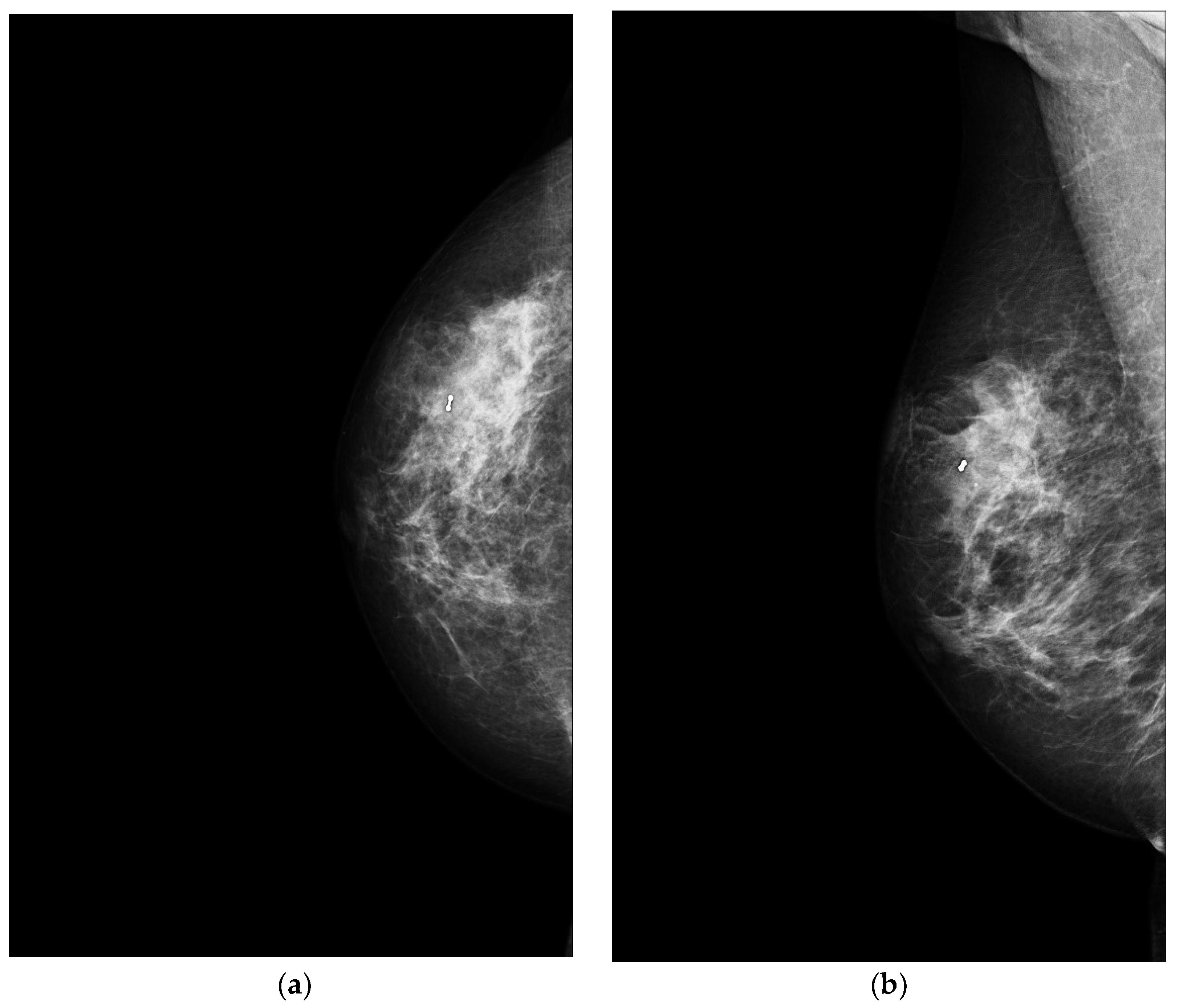 Jimaging 09 00094 g002