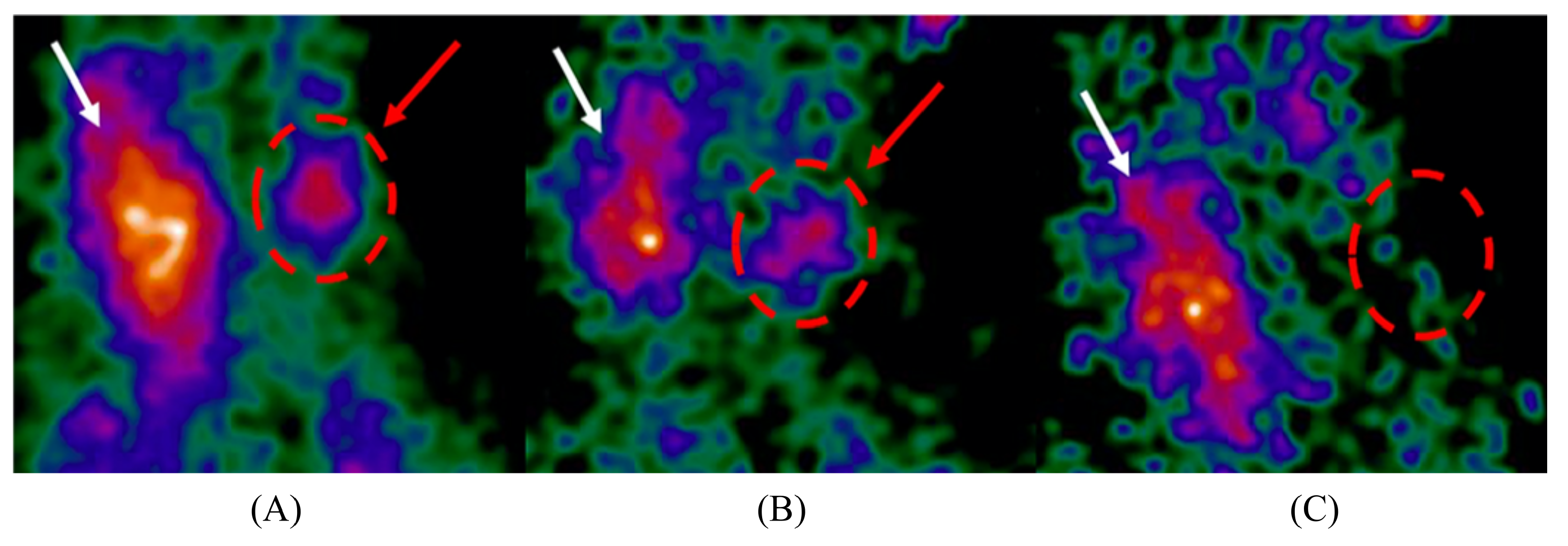 Jimaging 09 00102 g001