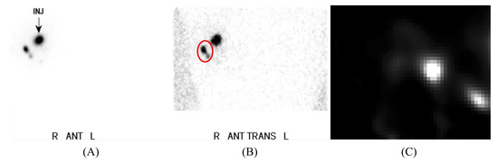 Jimaging 09 00102 g003