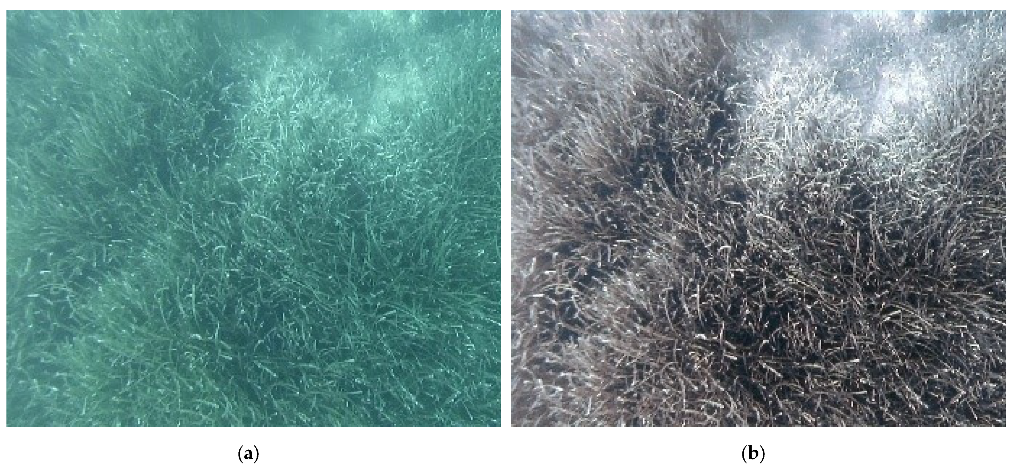 Jimaging 09 00113 g010 Jimaging 09 00113 g010