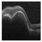 Jimaging 09 00140 i001