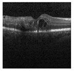 Jimaging 09 00140 i003