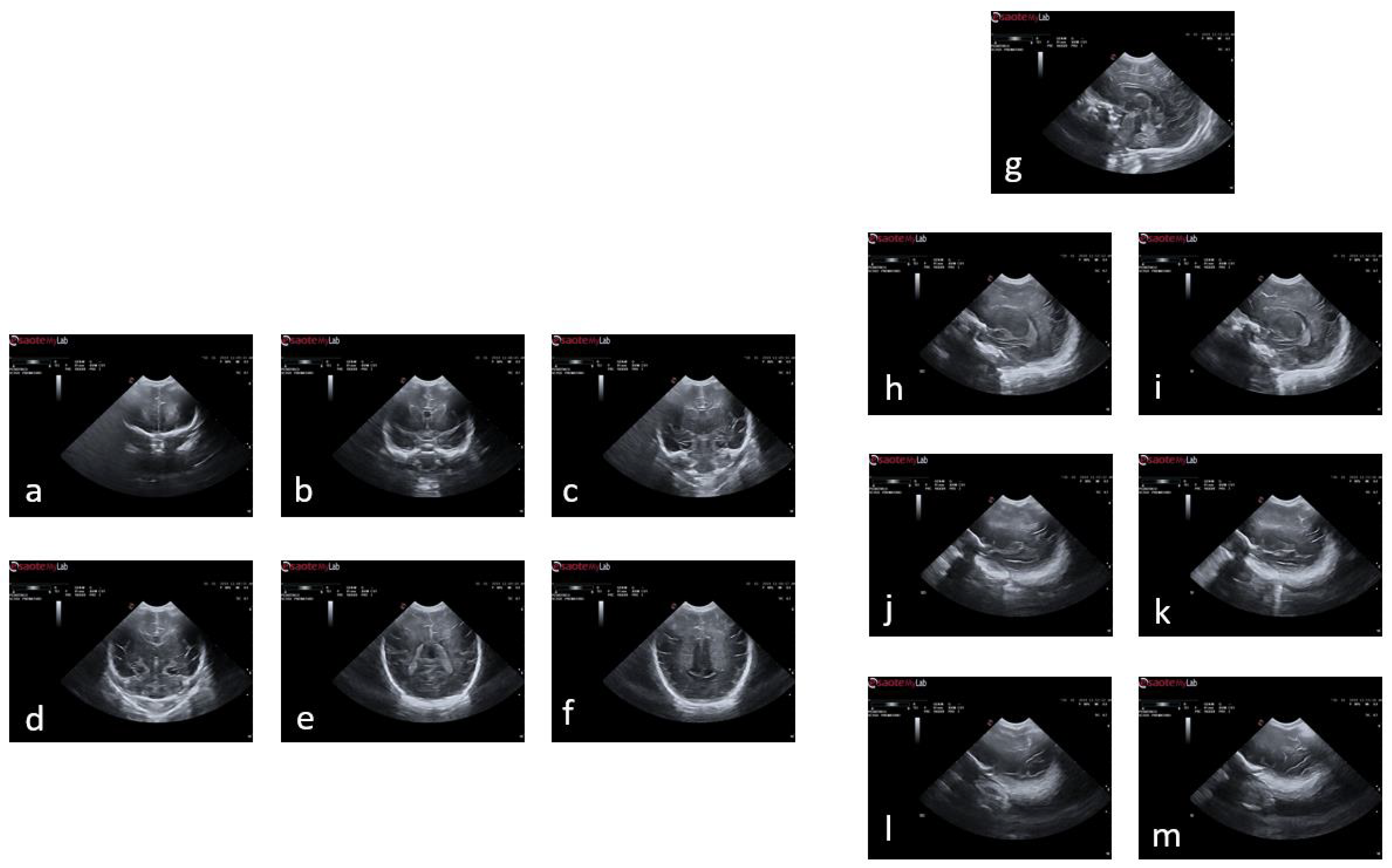 Jimaging 09 00145 g002