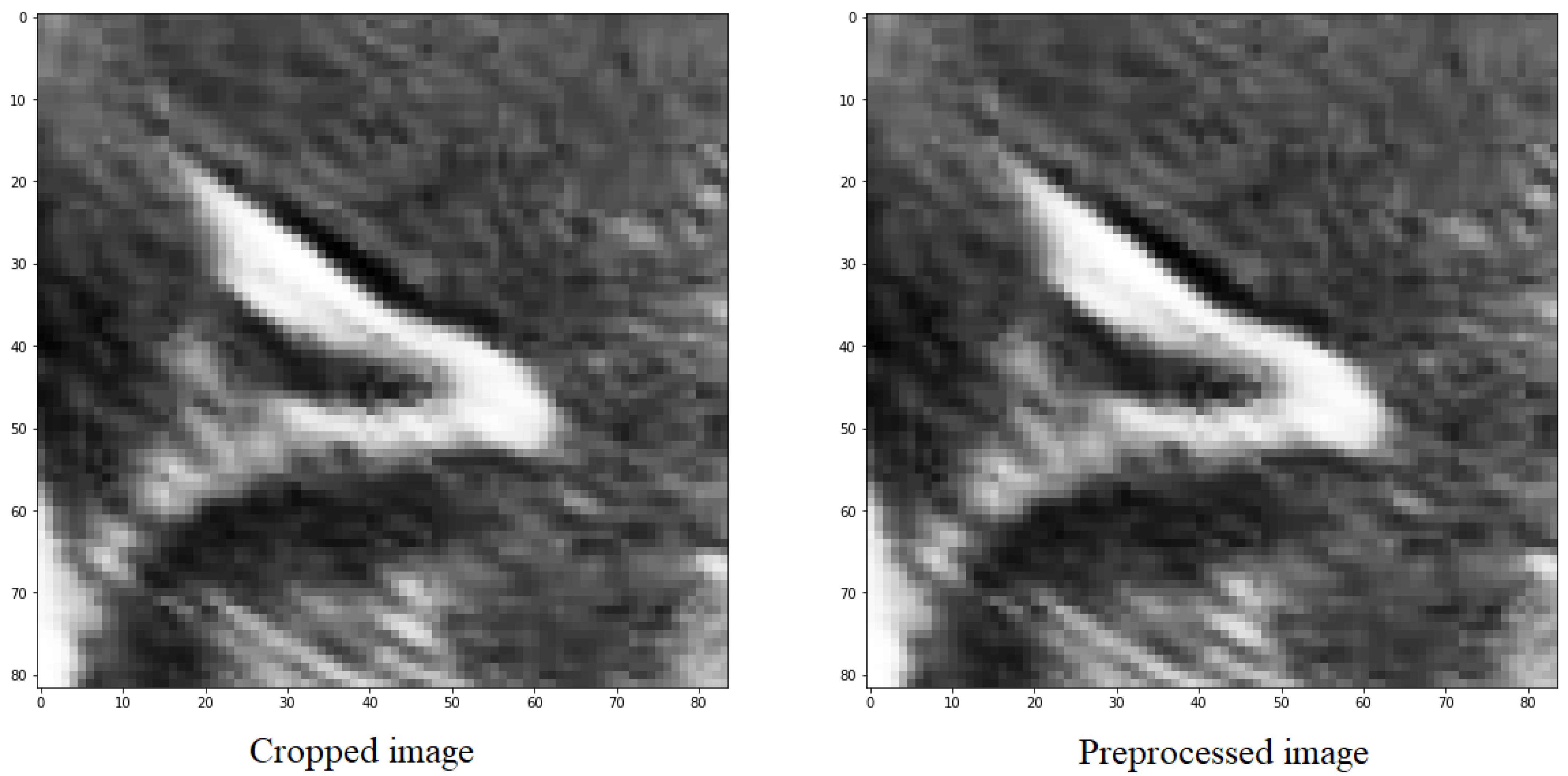 Jimaging 09 00145 g005