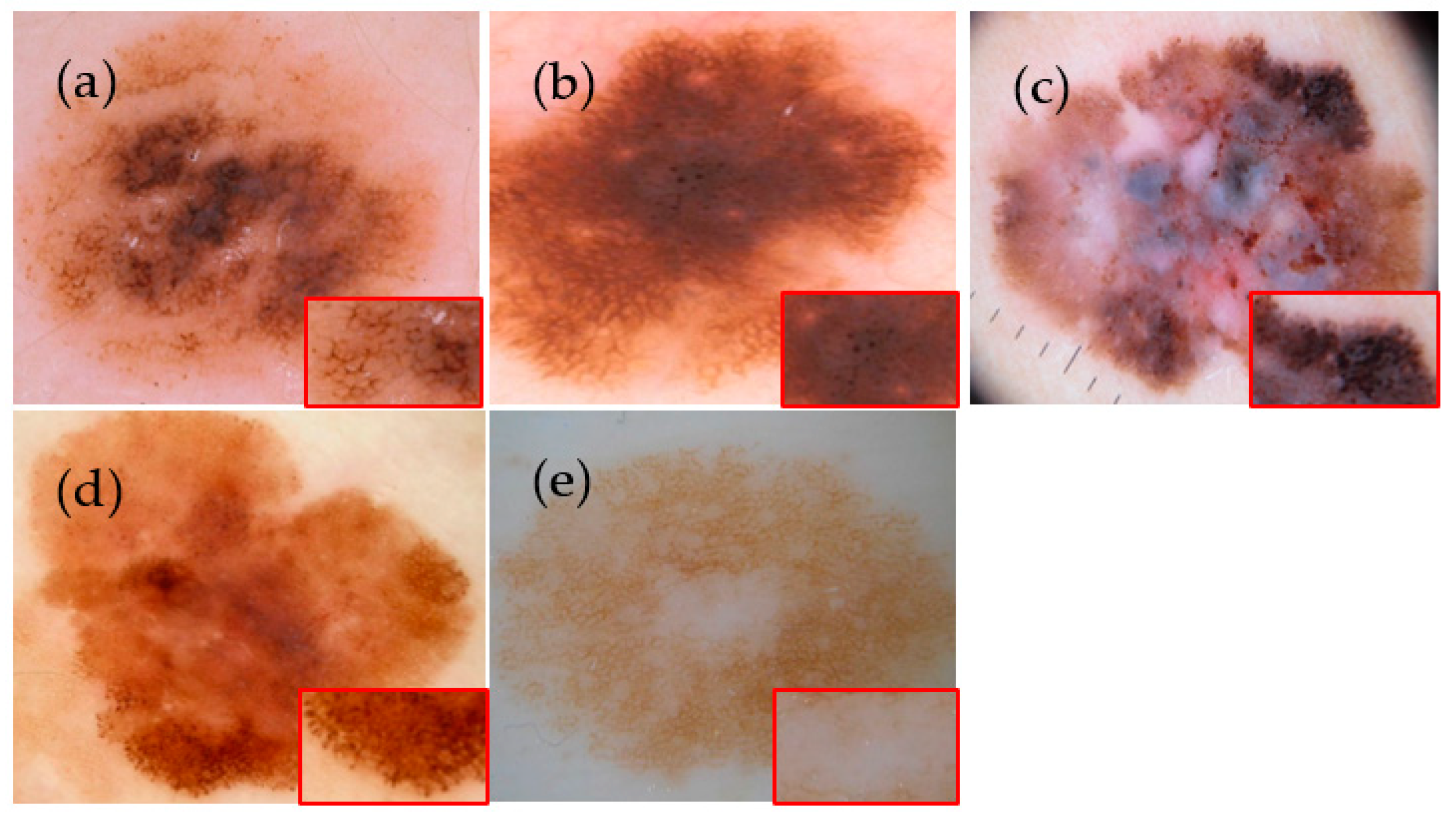 Jimaging 09 00148 g001 Jimaging 09 00148 g001