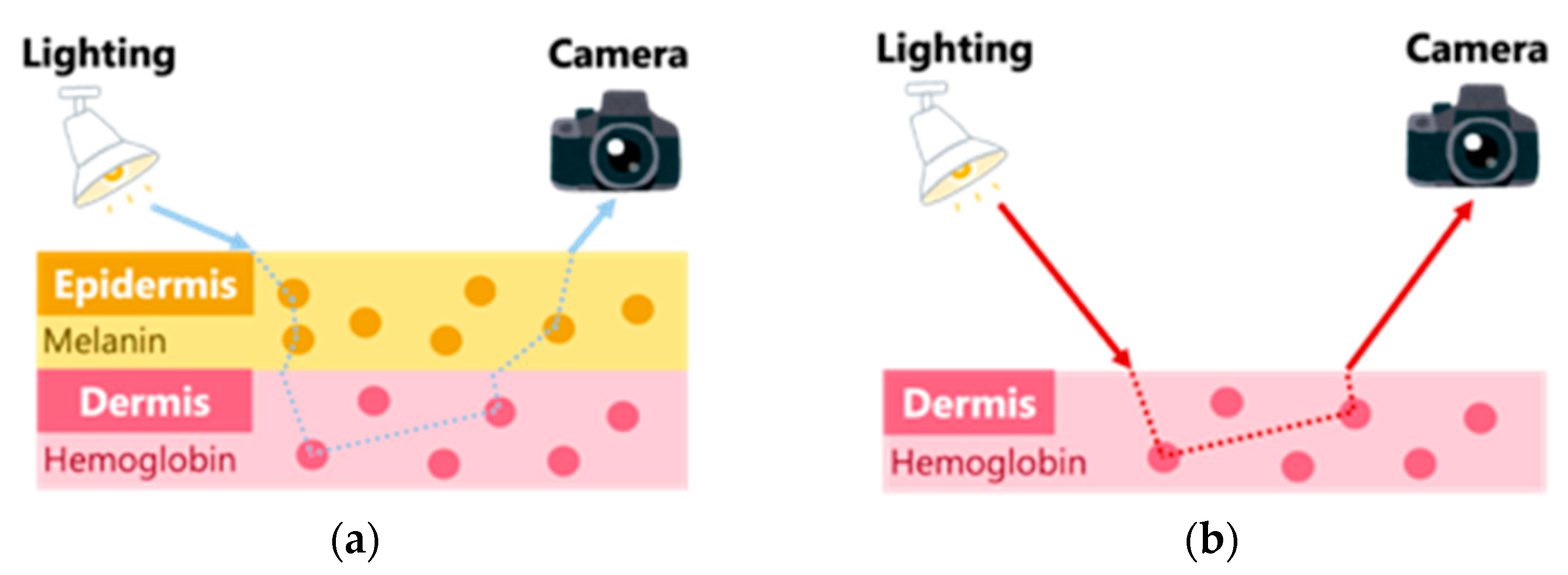 Jimaging 09 00202 g001