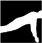 Jimaging 09 00204 i028