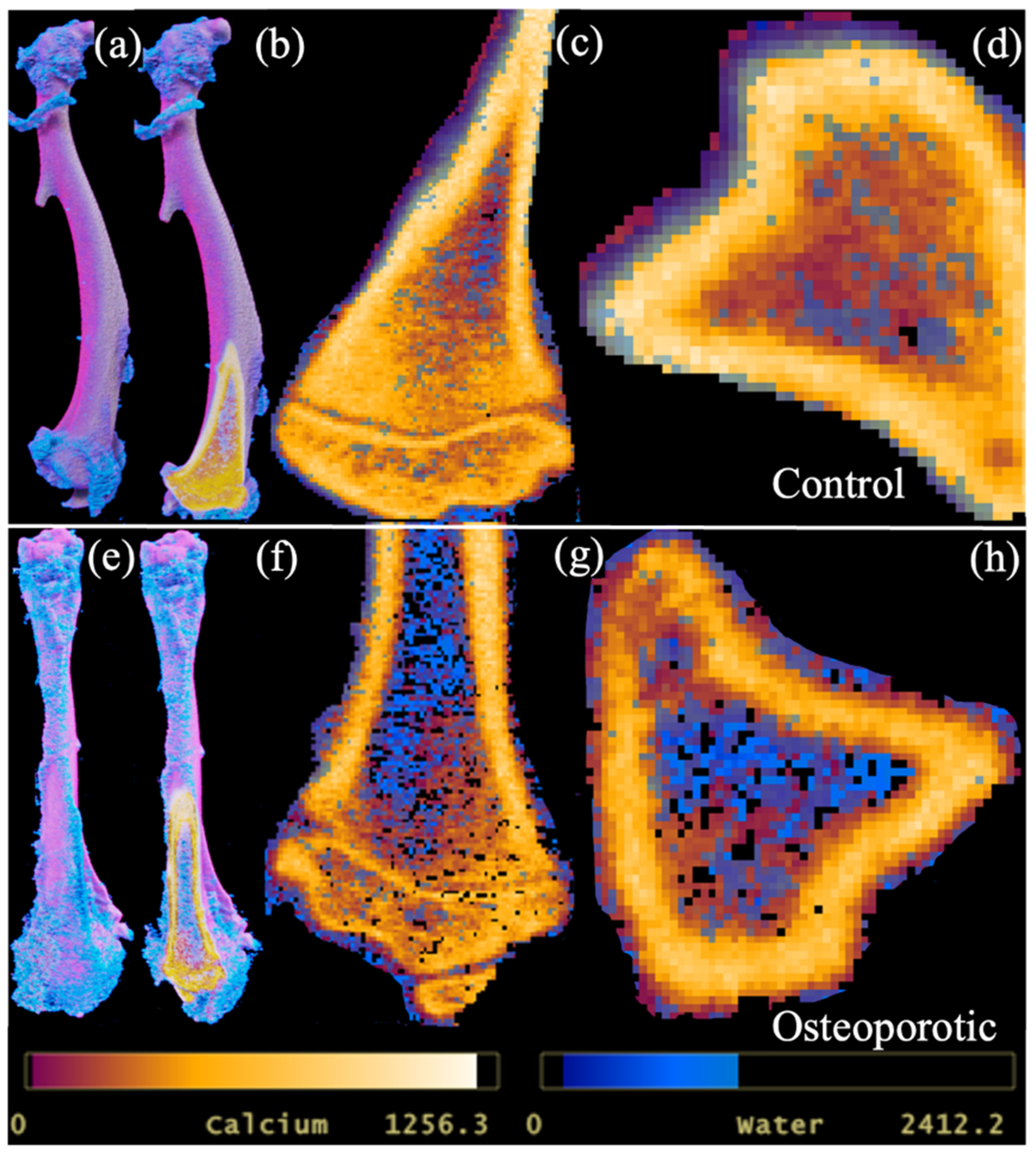 Jimaging 09 00209 g005