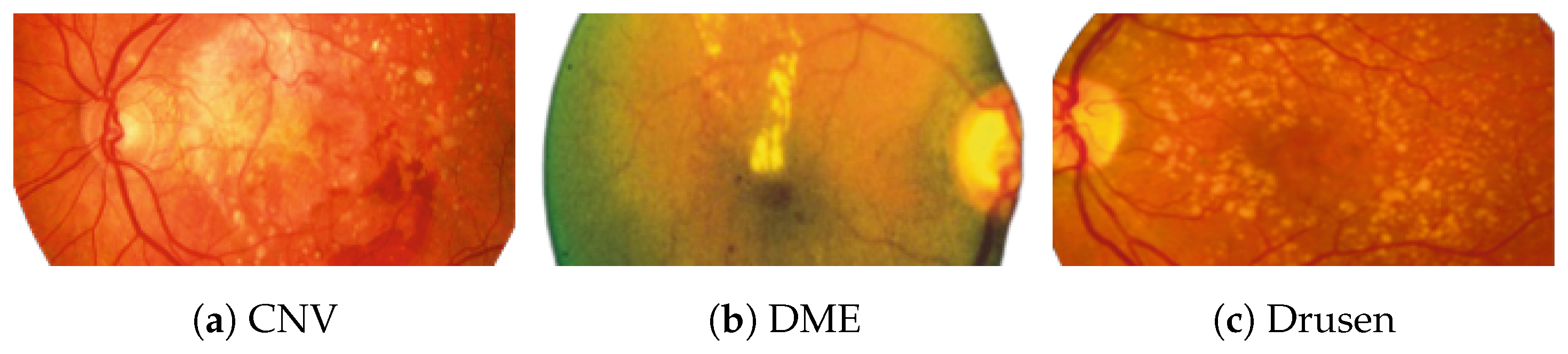 Jimaging 09 00219 g002