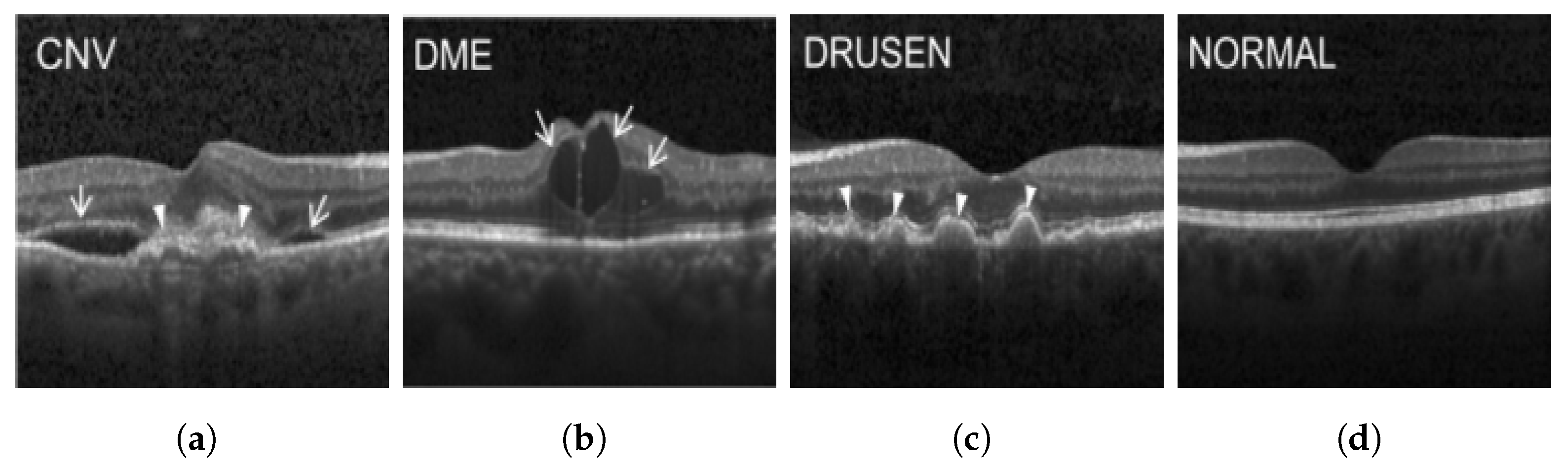 Jimaging 09 00219 g003