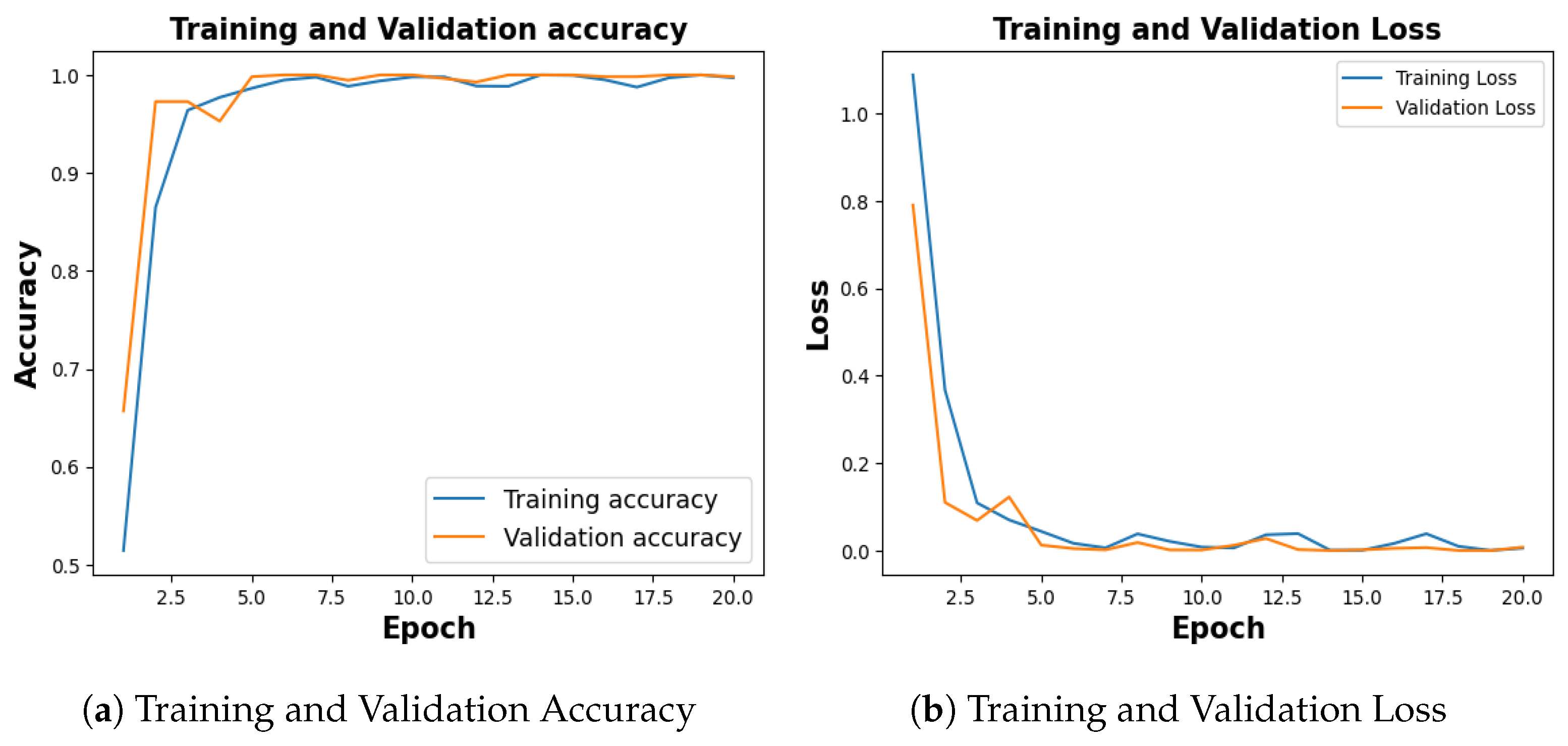 Jimaging 09 00219 g019