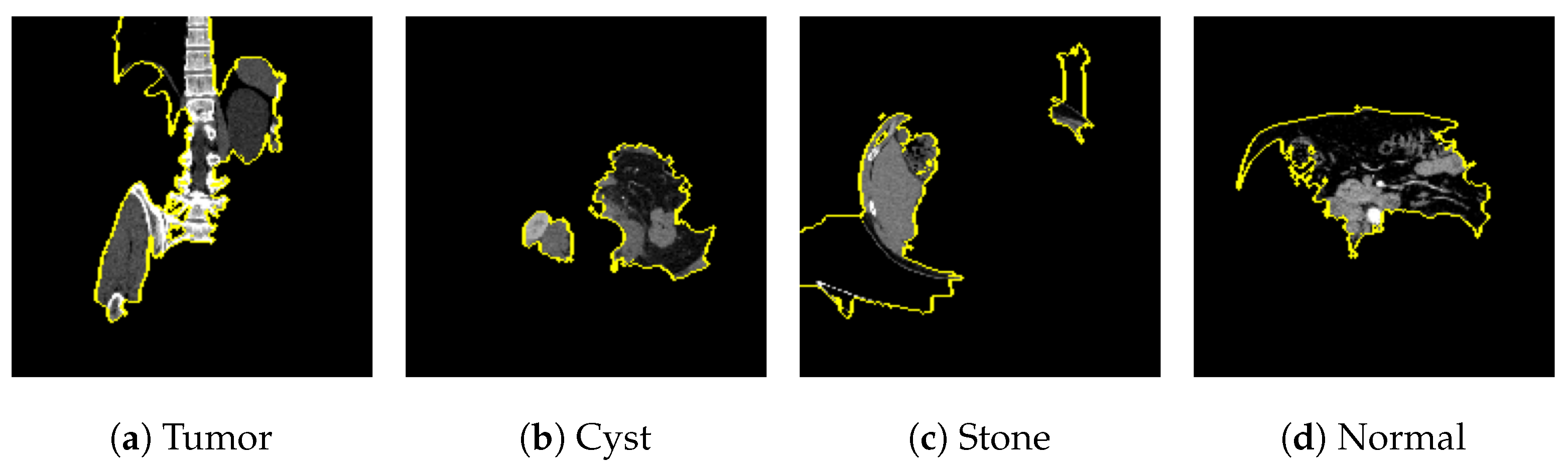 Jimaging 09 00219 g025