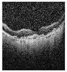 Jimaging 09 00219 i001