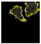 Jimaging 09 00219 i002