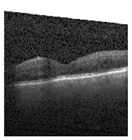 Jimaging 09 00219 i003