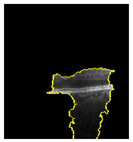 Jimaging 09 00219 i008