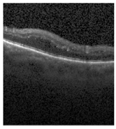 Jimaging 09 00219 i011