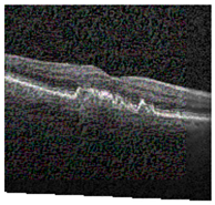 Jimaging 09 00219 i016