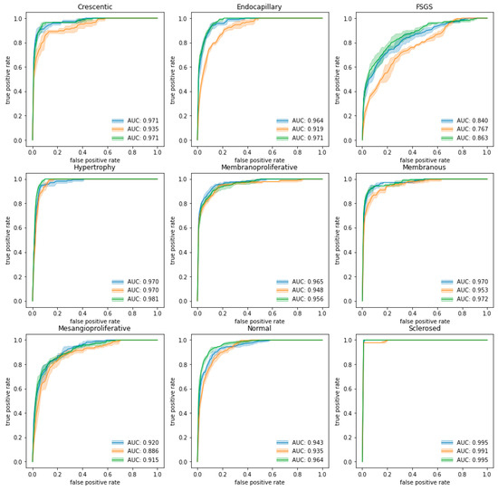 Jimaging 09 00220 g005