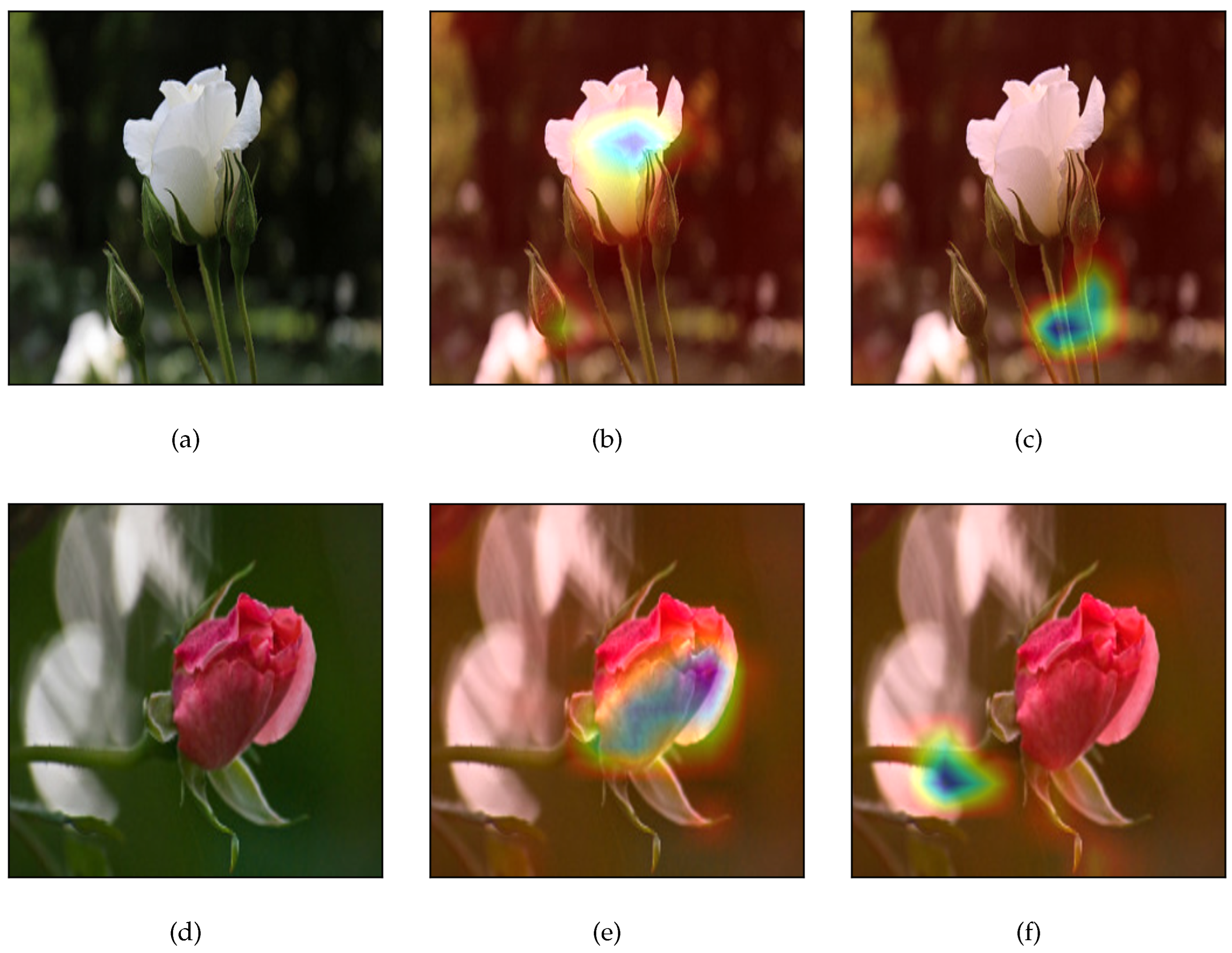 Jimaging 09 00224 g002 Jimaging 09 00224 g002
