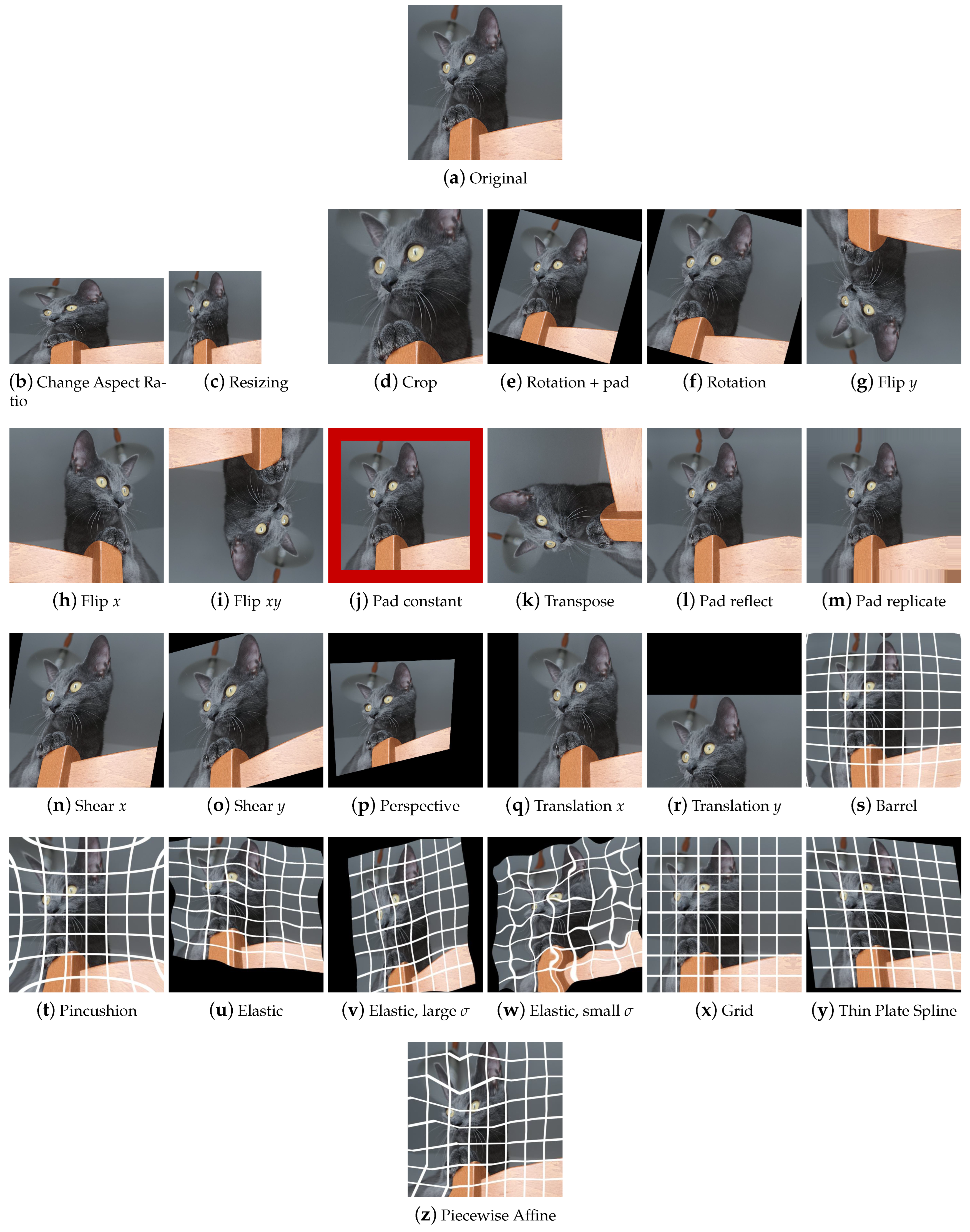 Jimaging 09 00232 g004