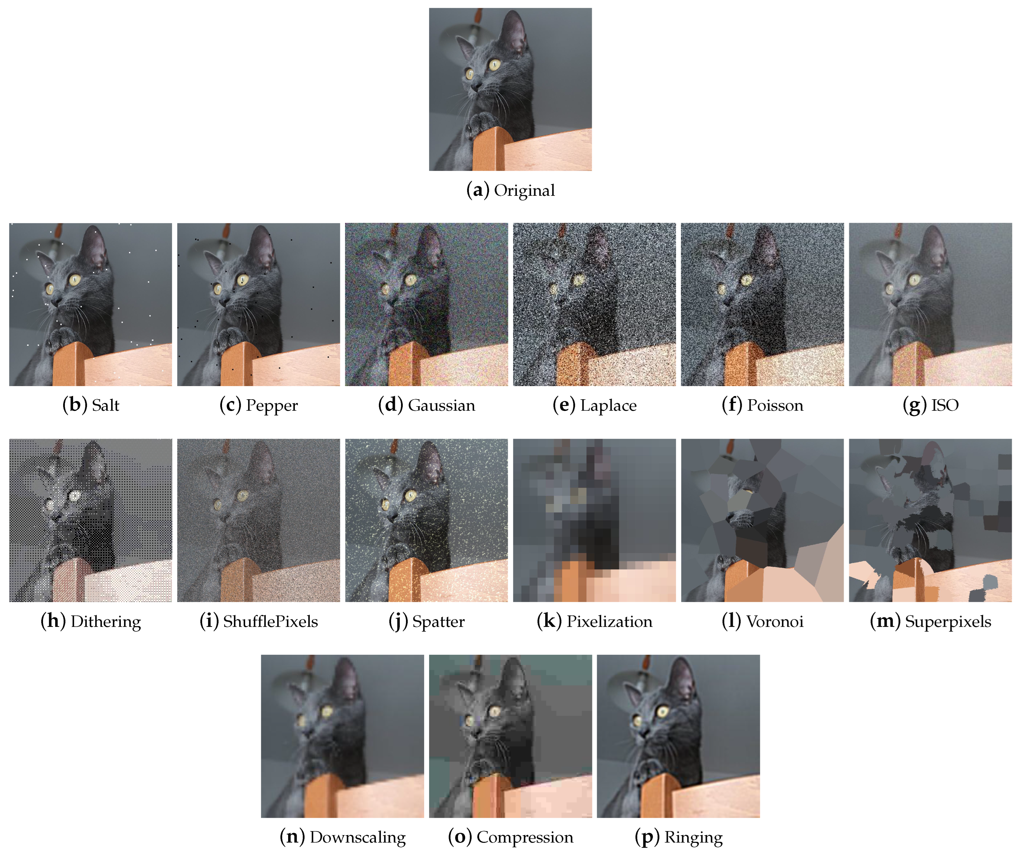 Jimaging 09 00232 g009