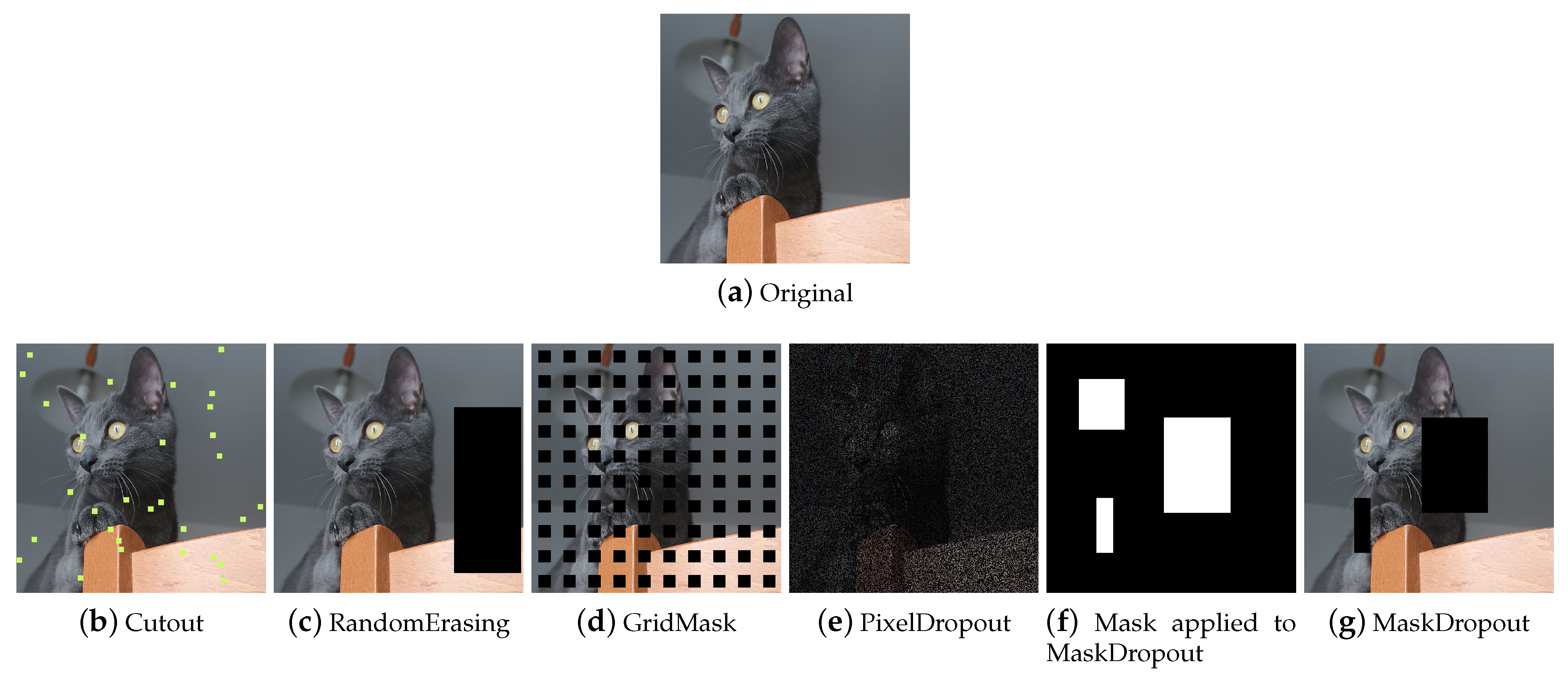 Jimaging 09 00232 g011