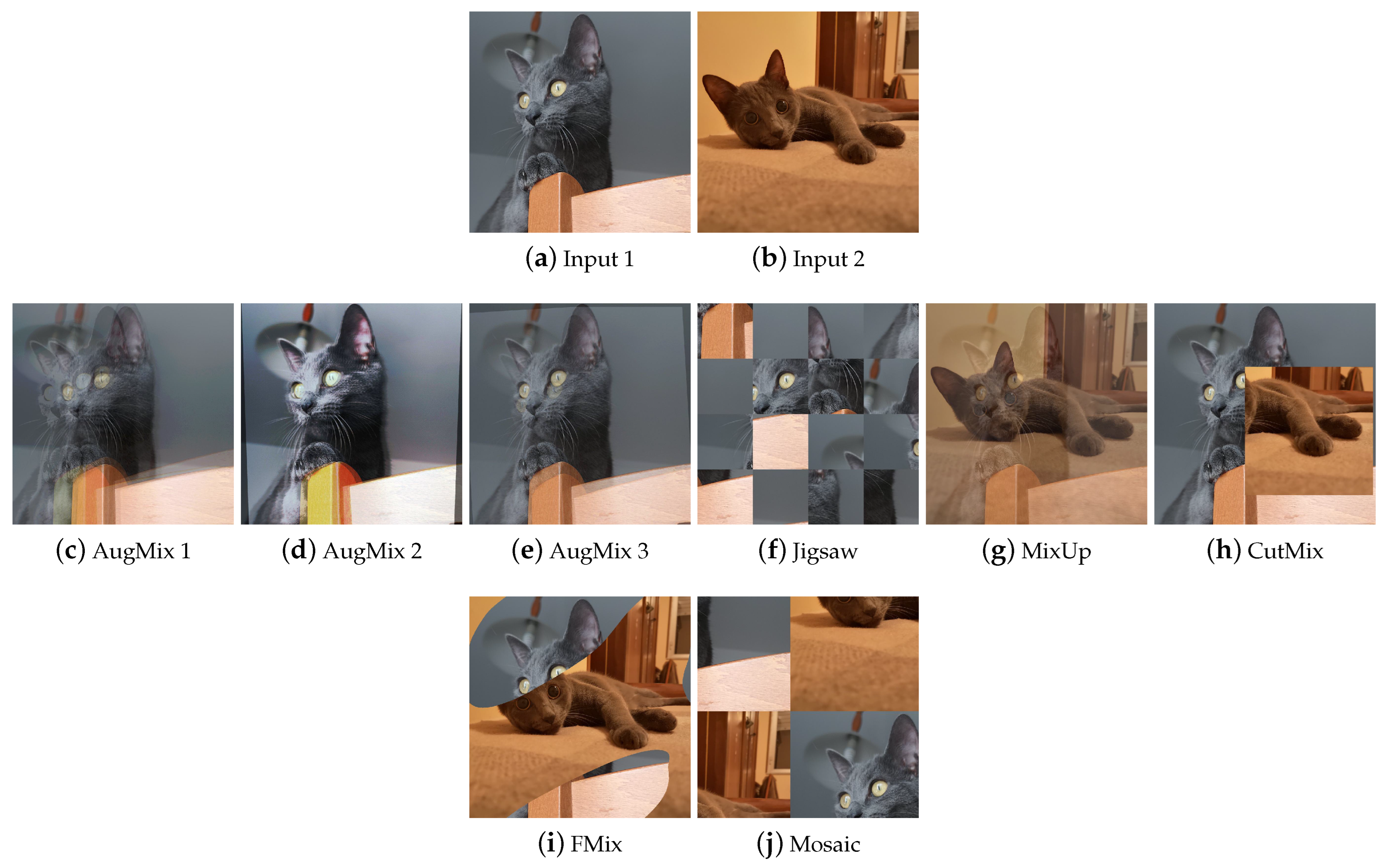 Jimaging 09 00232 g012