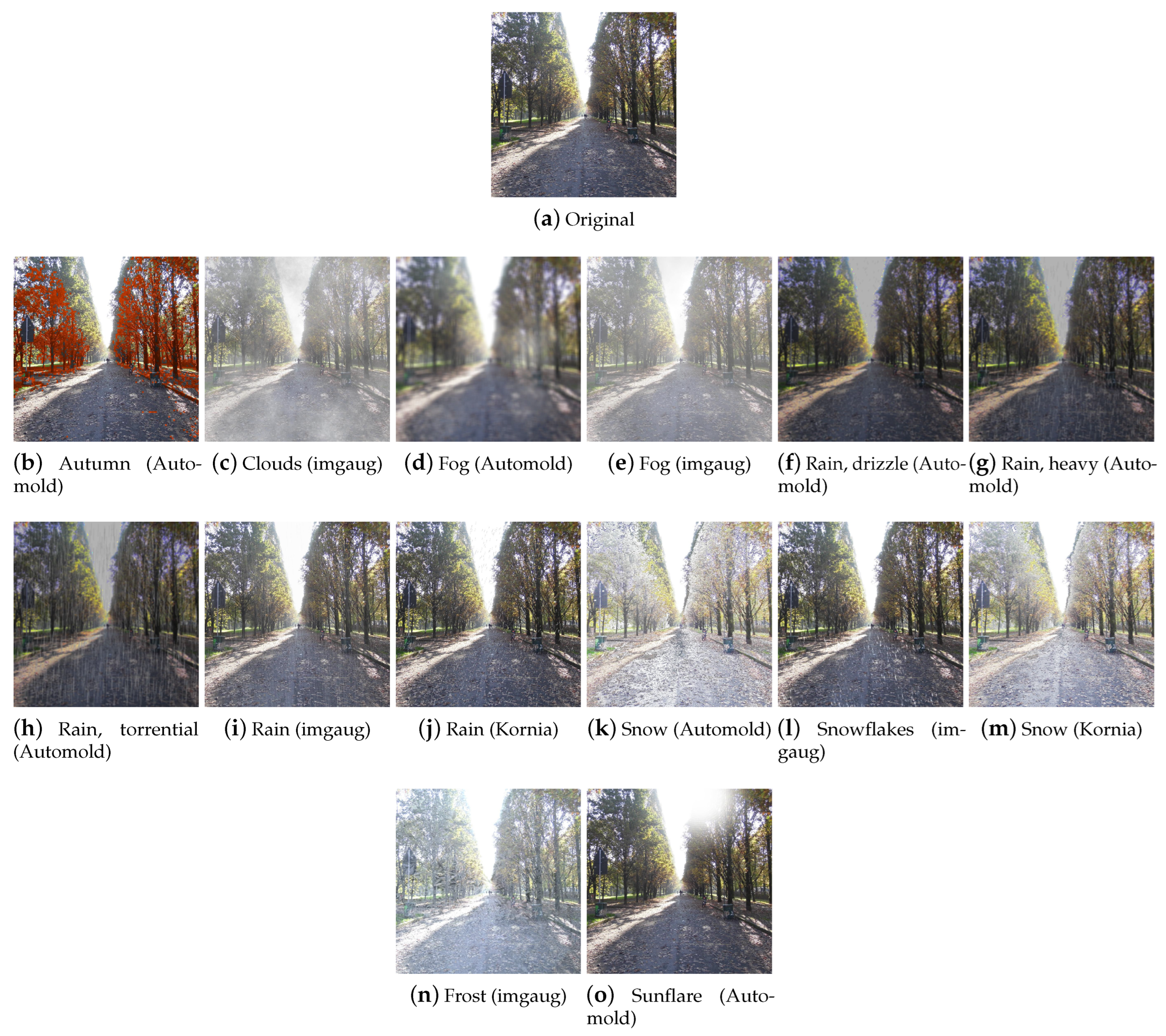 Jimaging 09 00232 g016