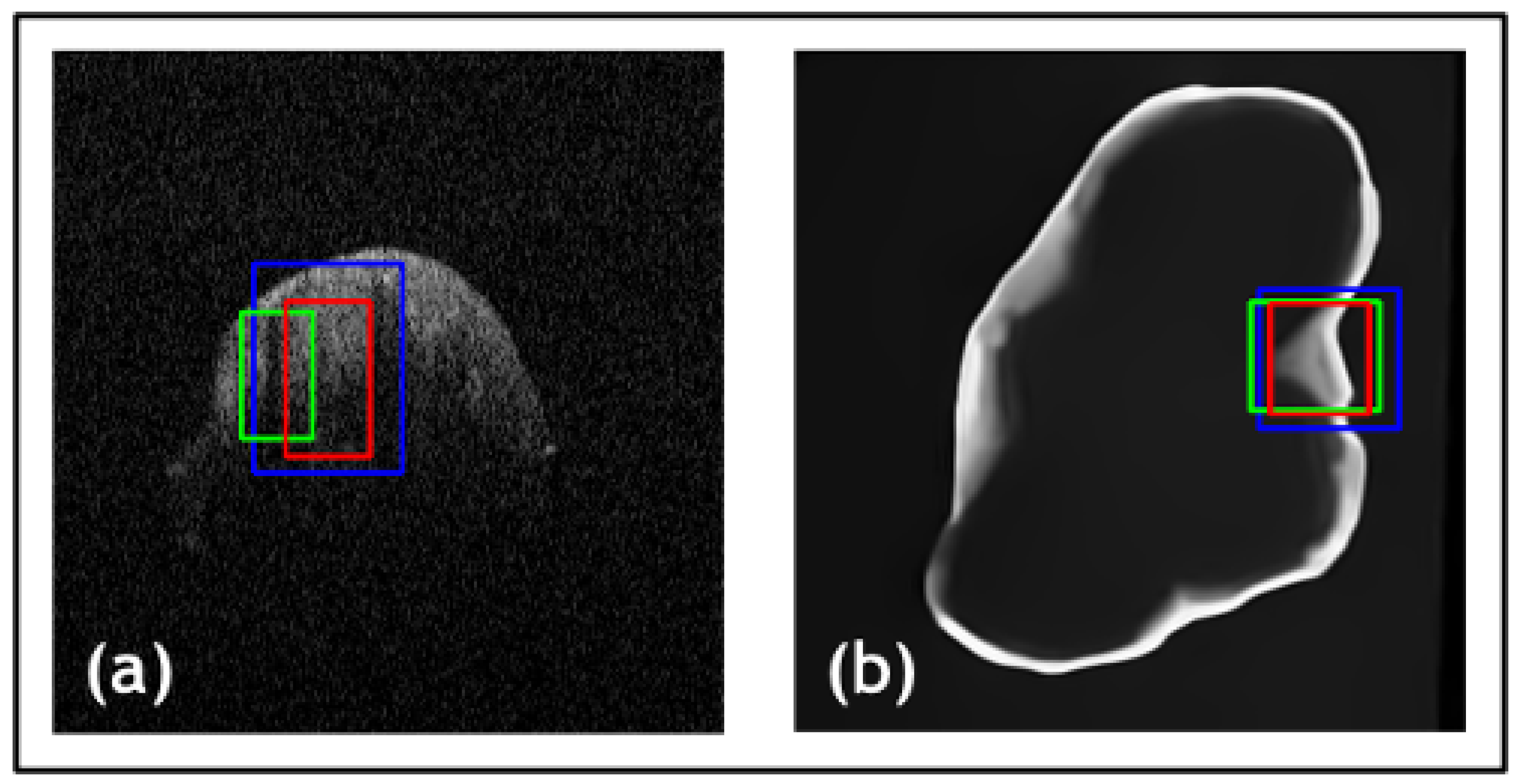 Jimaging 09 00244 g010