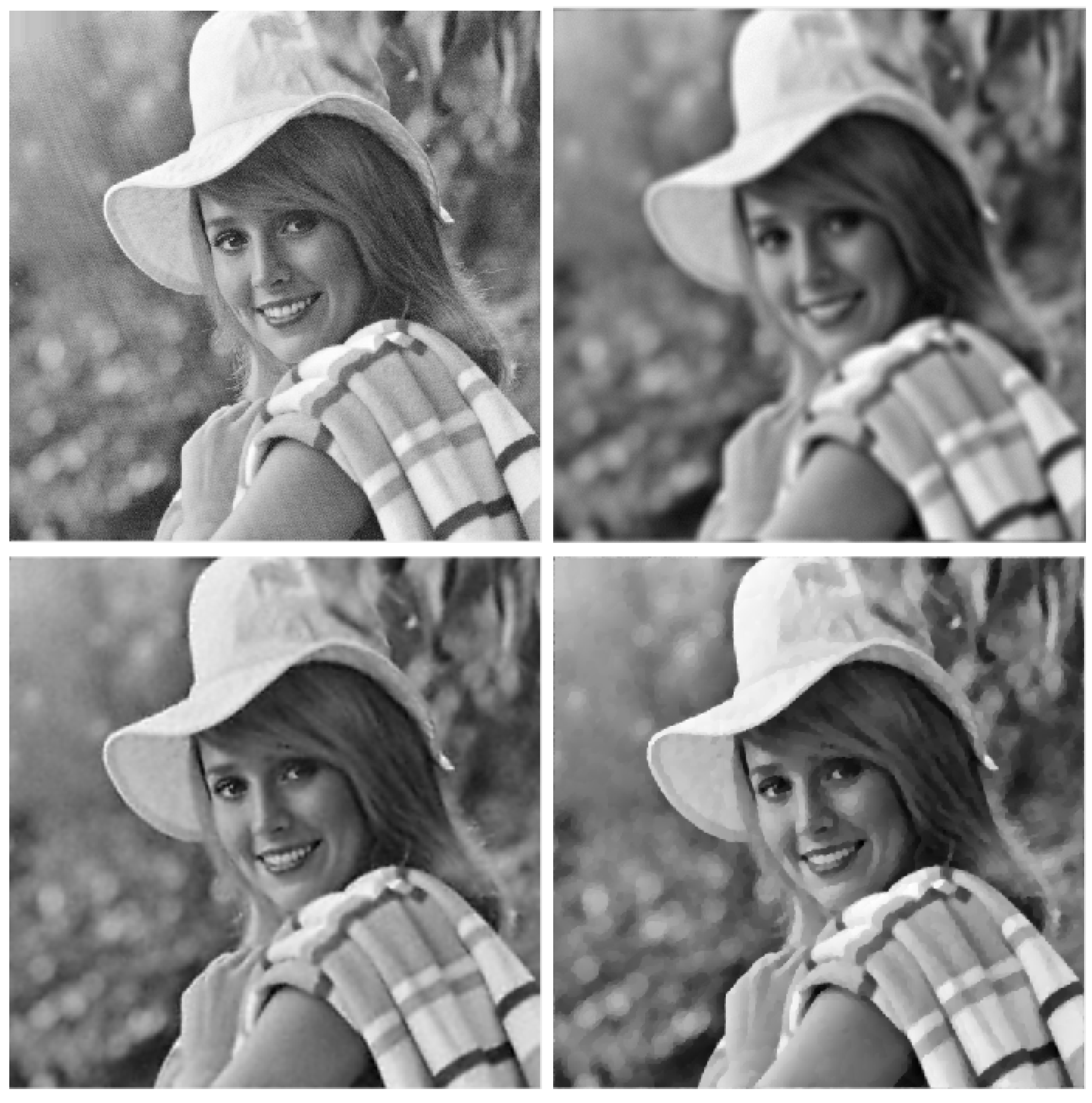 Jimaging 09 00249 g004