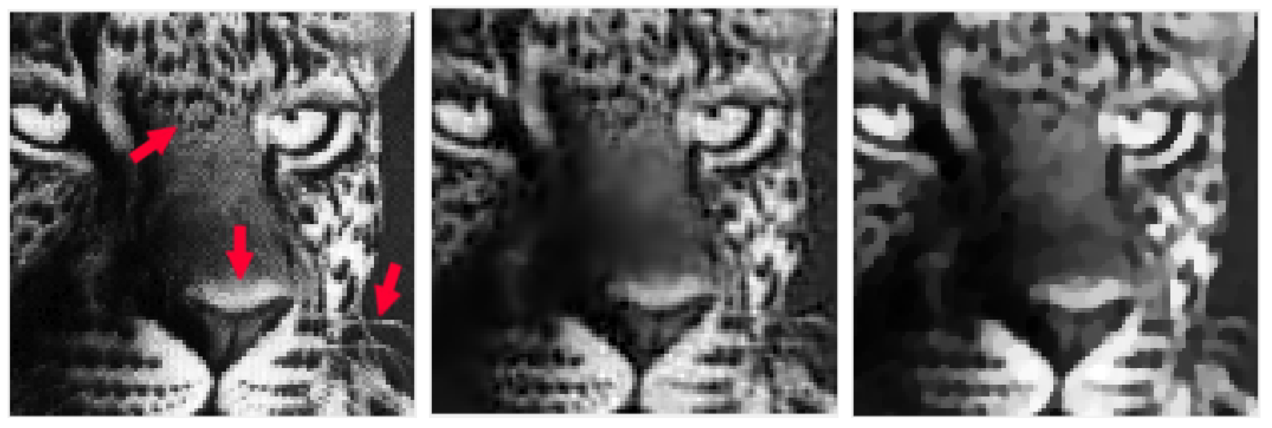 Jimaging 09 00249 g007