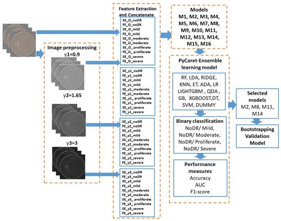 Jimaging 10 00008 g003