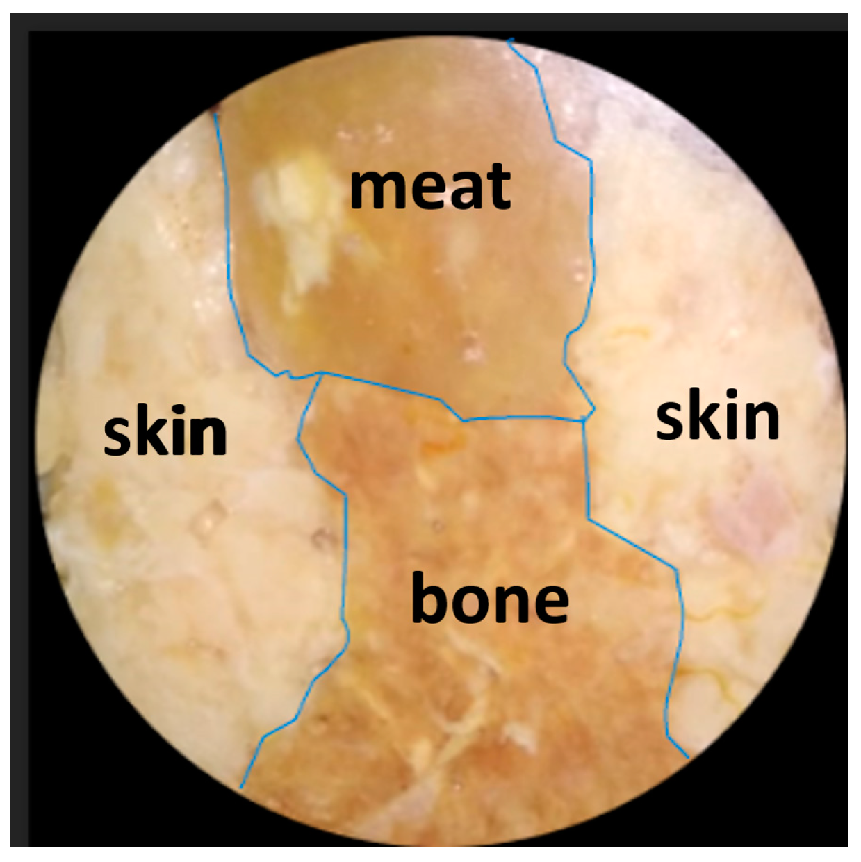 Jimaging 10 00022 g008