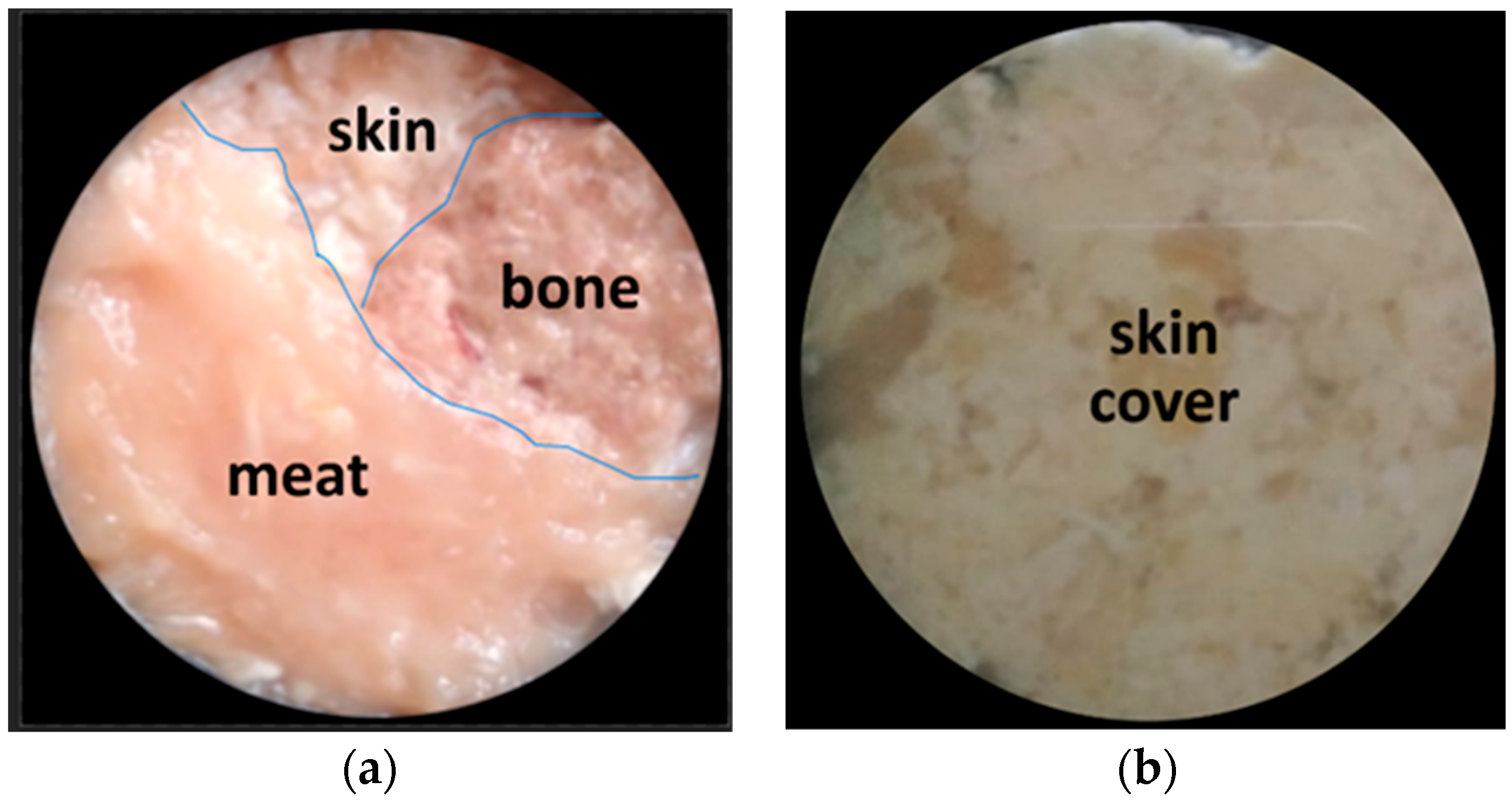 Jimaging 10 00022 g010