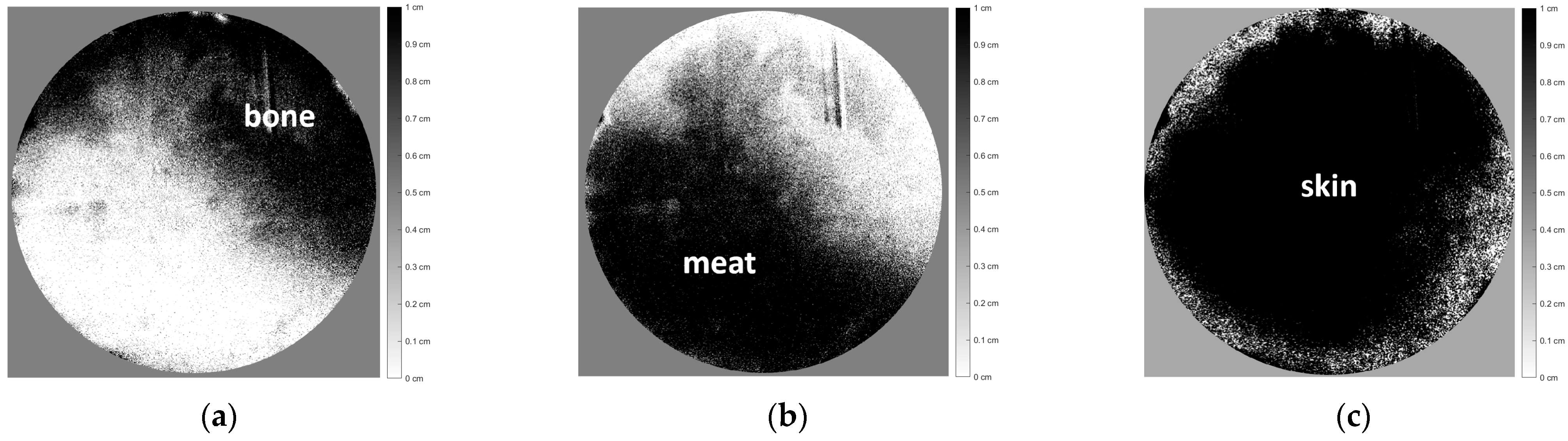 Jimaging 10 00022 g011