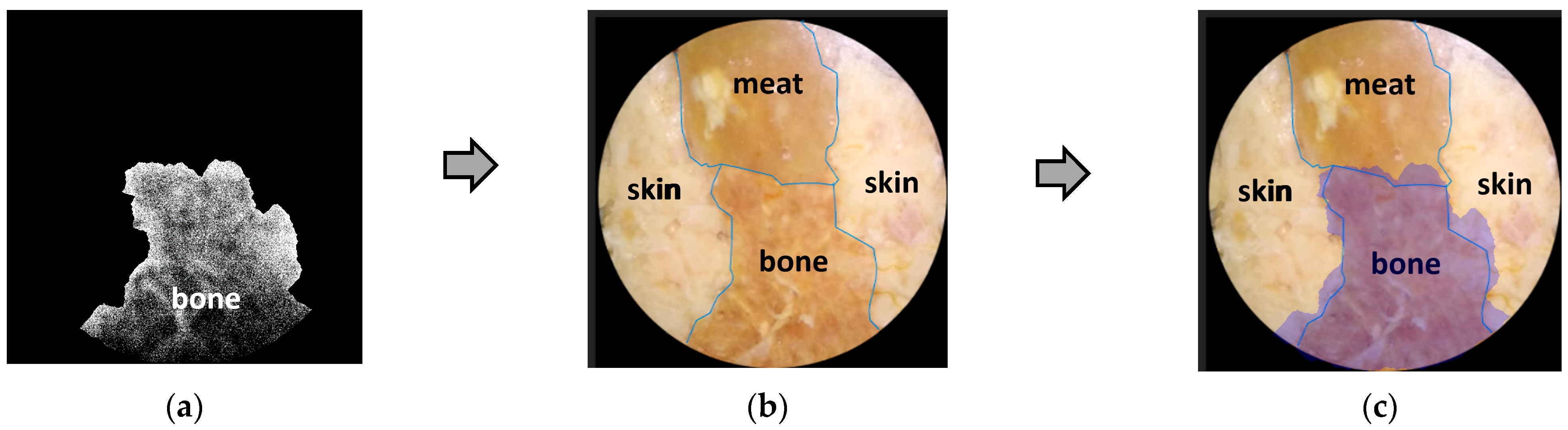 Jimaging 10 00022 g012
