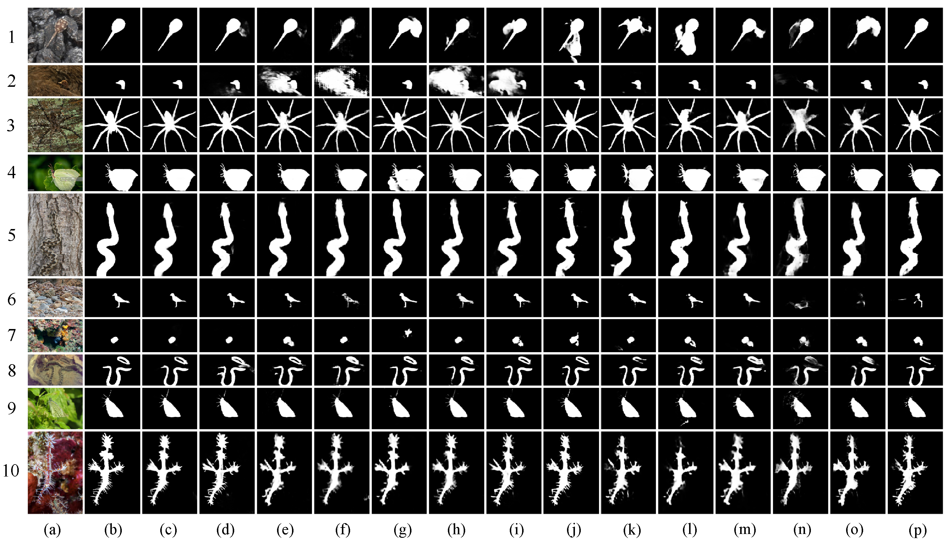 Jimaging 10 00024 g004