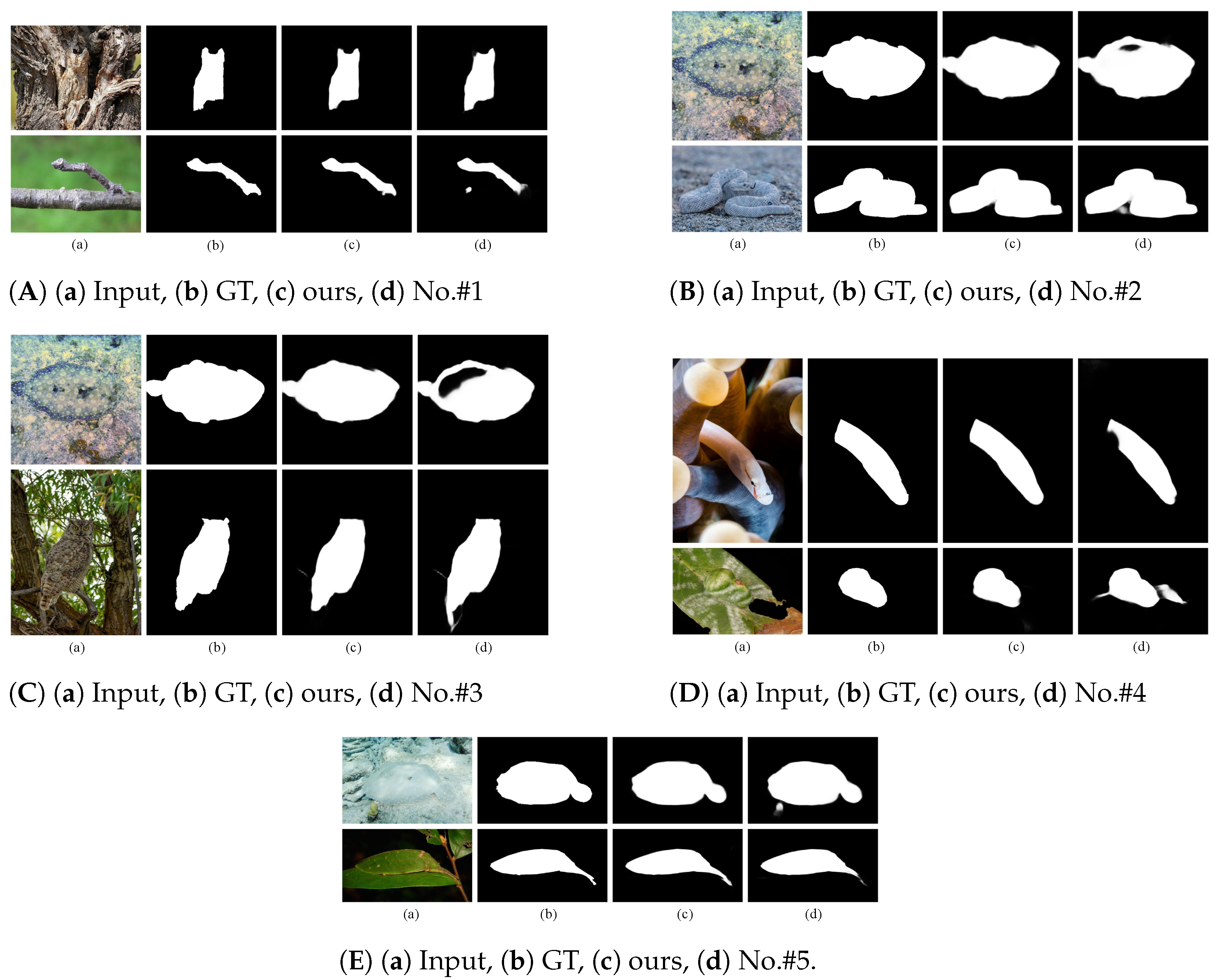 Jimaging 10 00024 g005