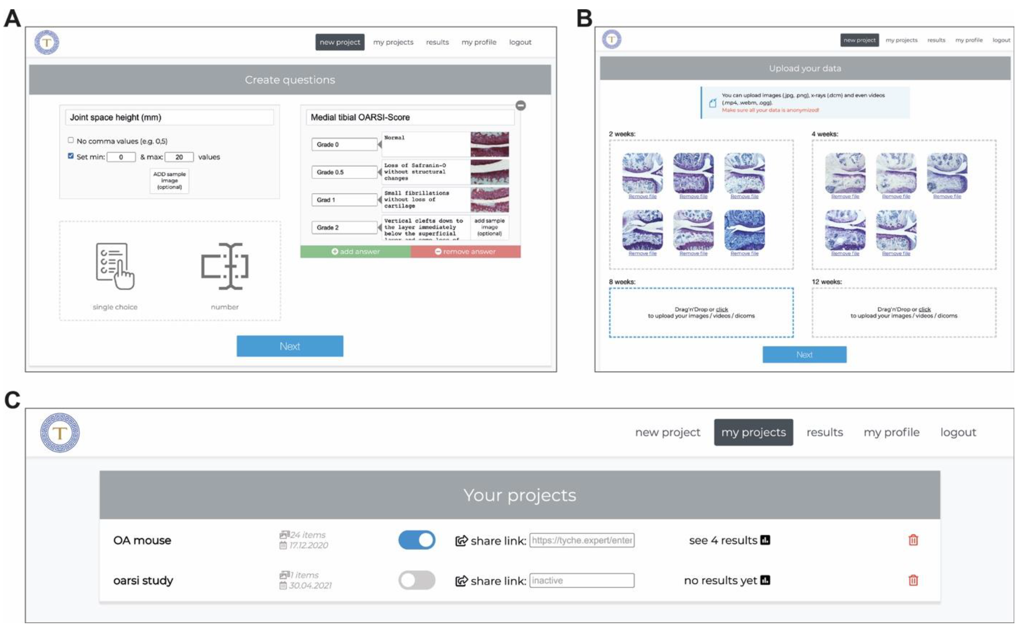 Jimaging 10 00033 g002