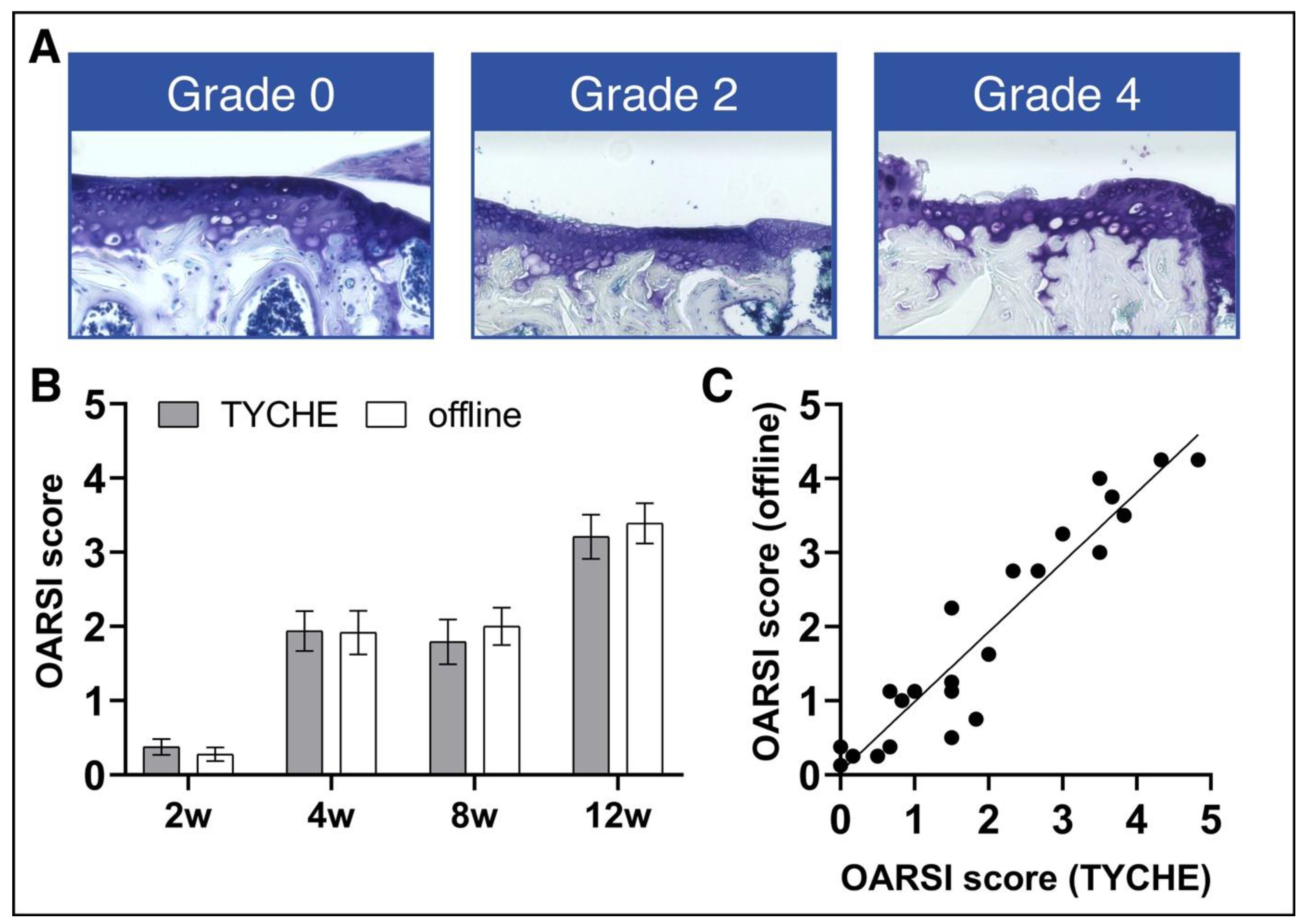Jimaging 10 00033 g005