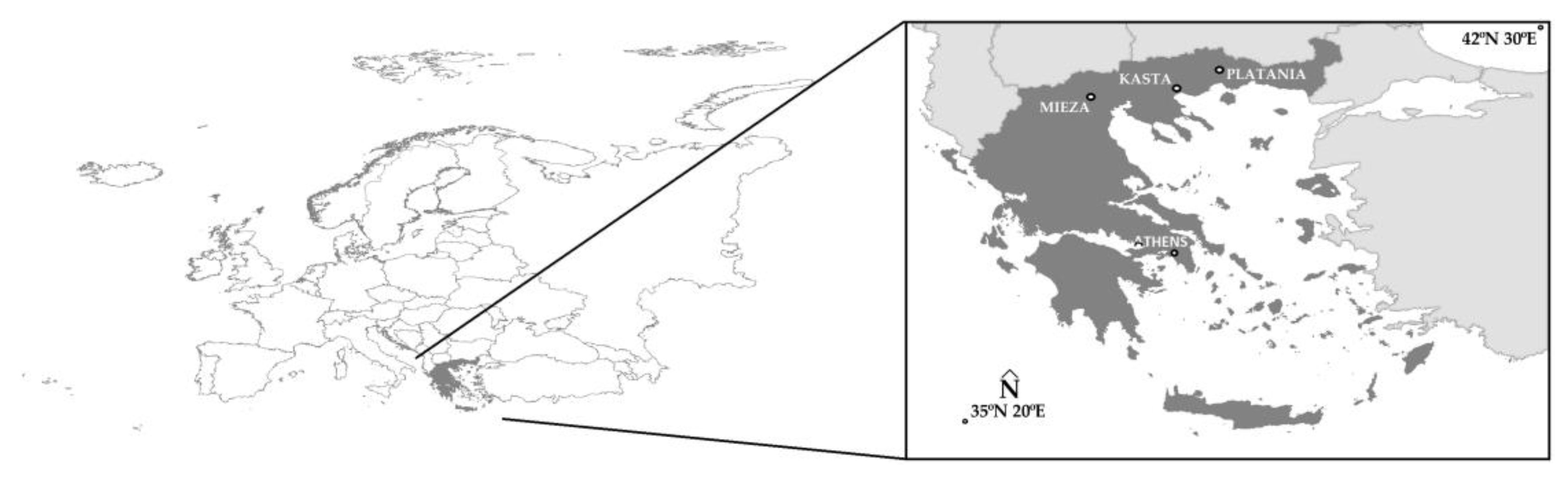 Jimaging 10 00034 g001