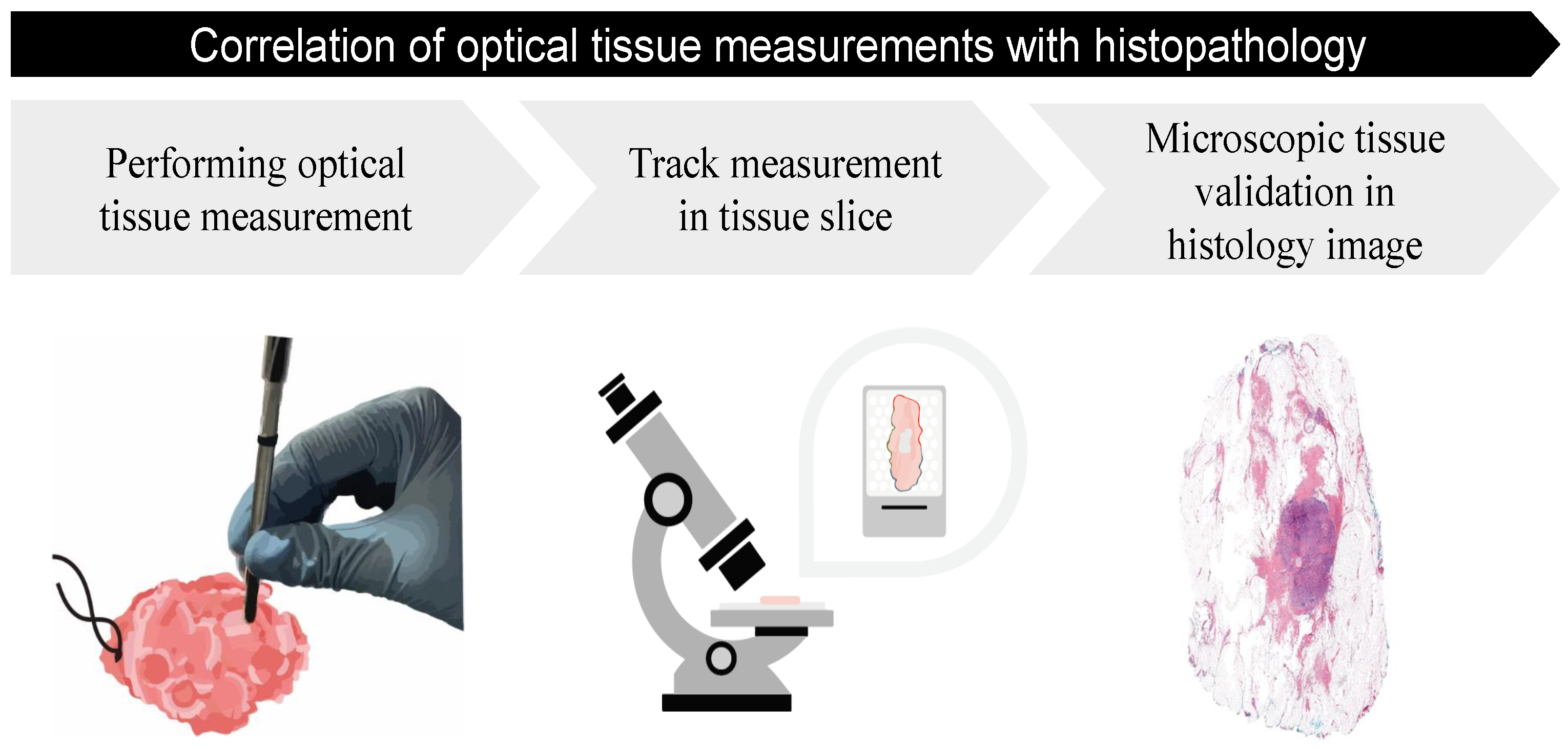 Jimaging 10 00037 g001