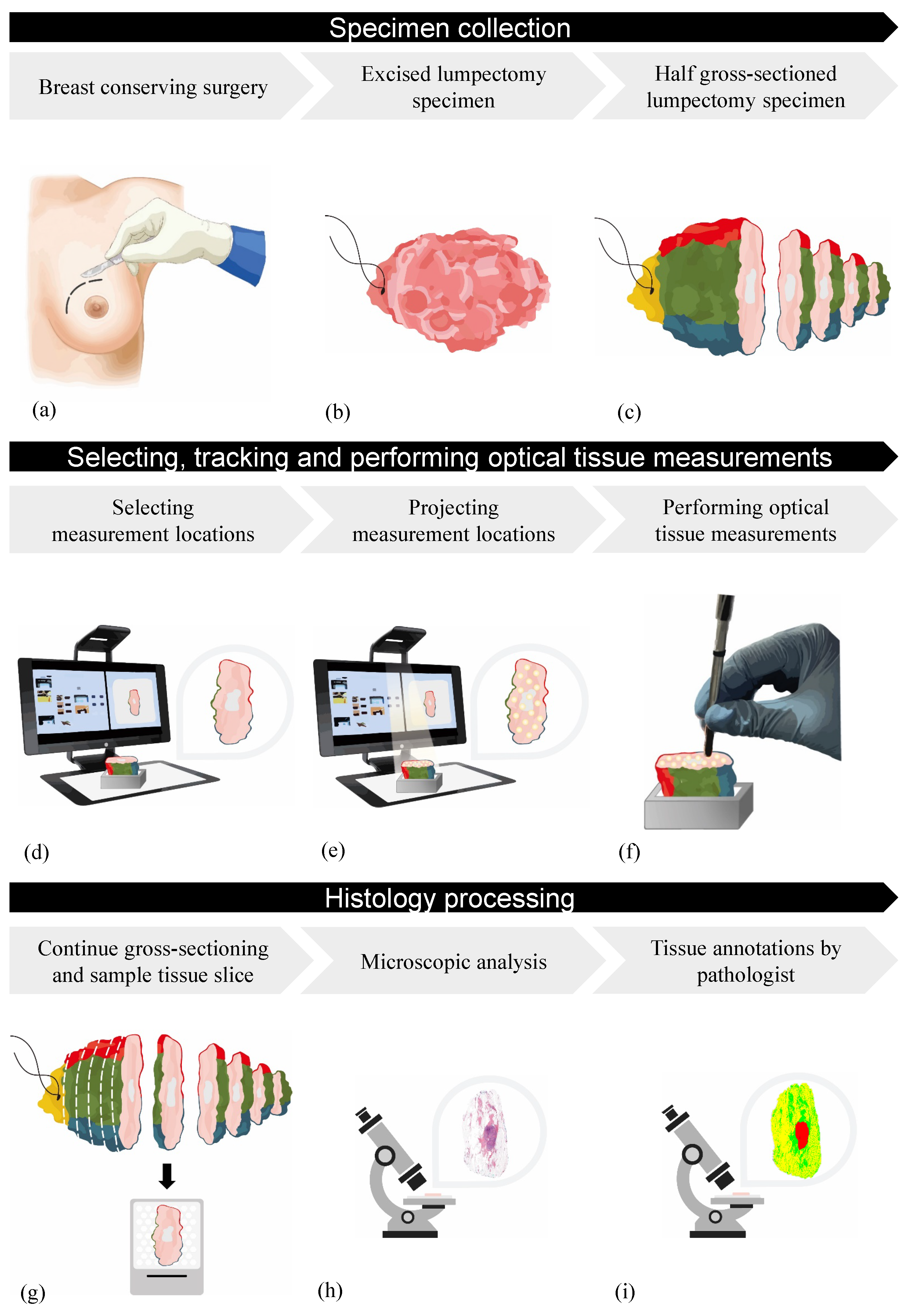 Jimaging 10 00037 g006