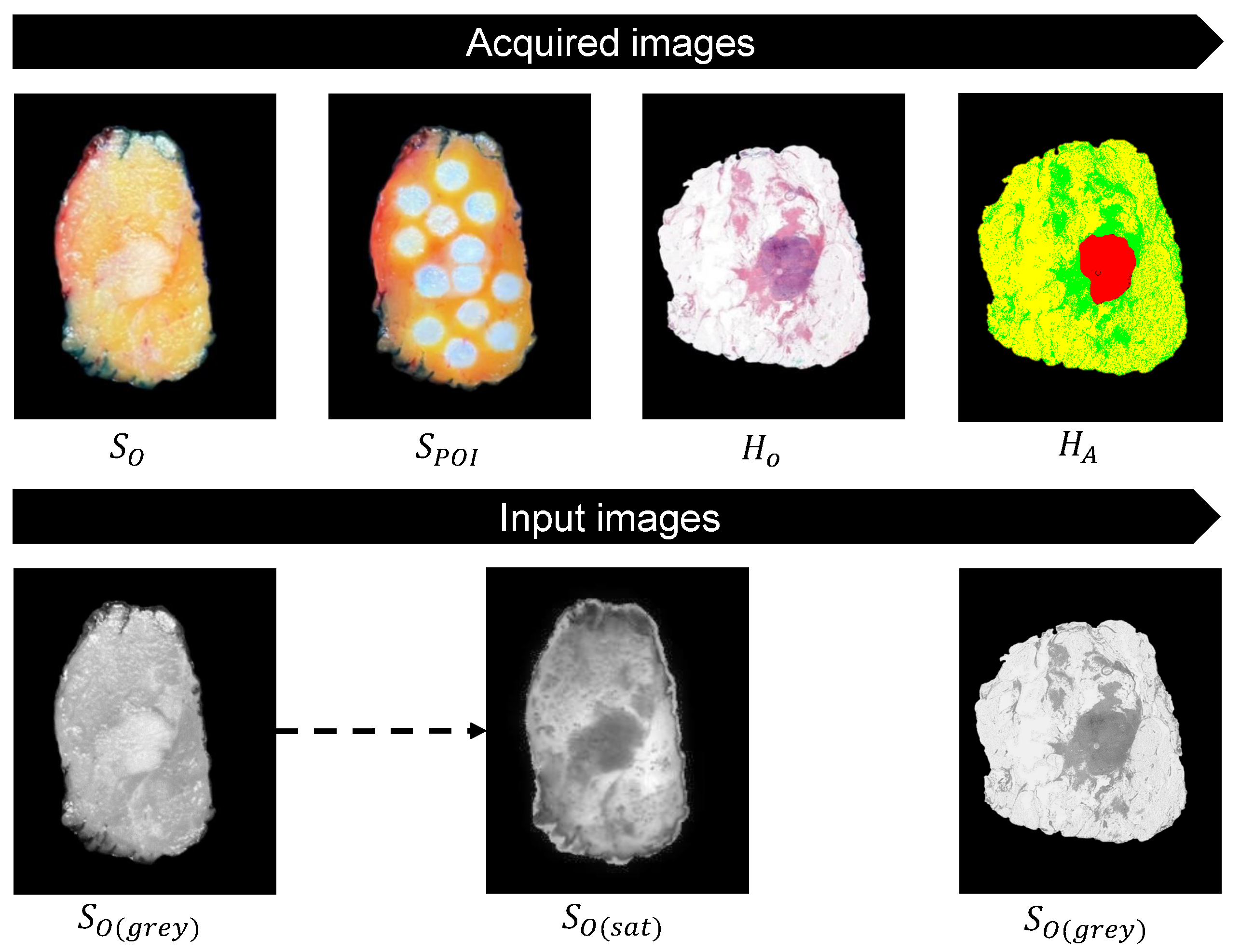 Jimaging 10 00037 g008