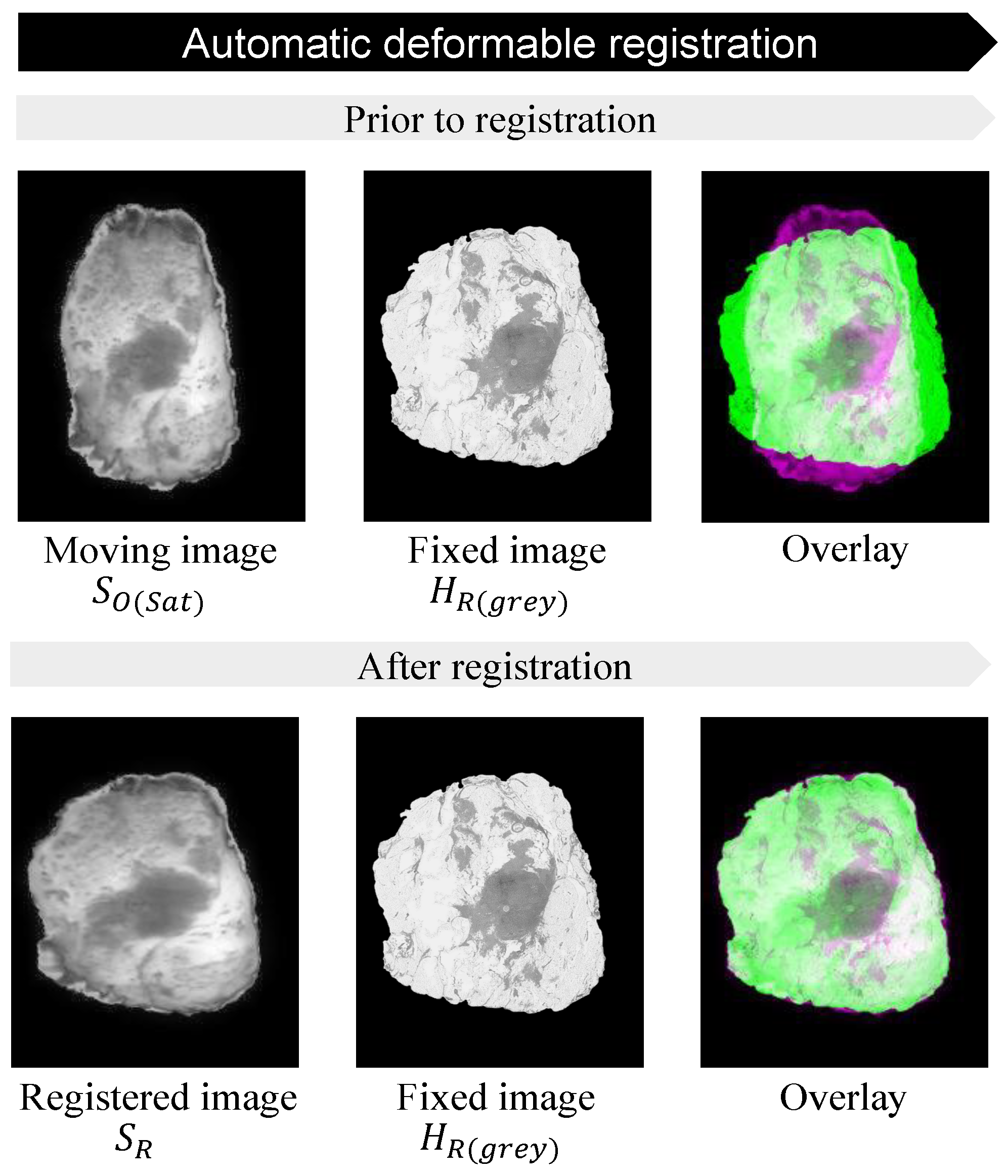 Jimaging 10 00037 g009