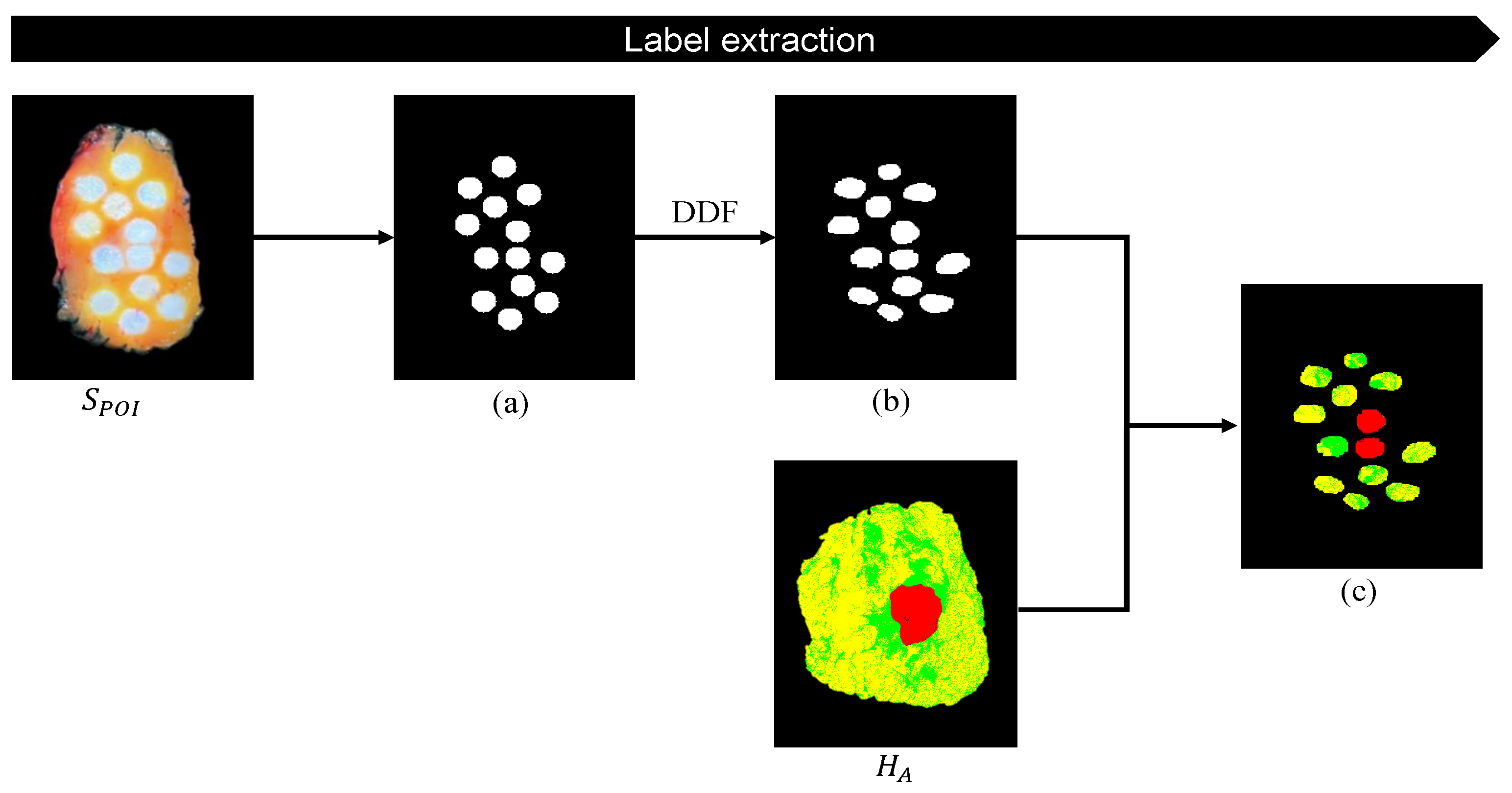 Jimaging 10 00037 g011